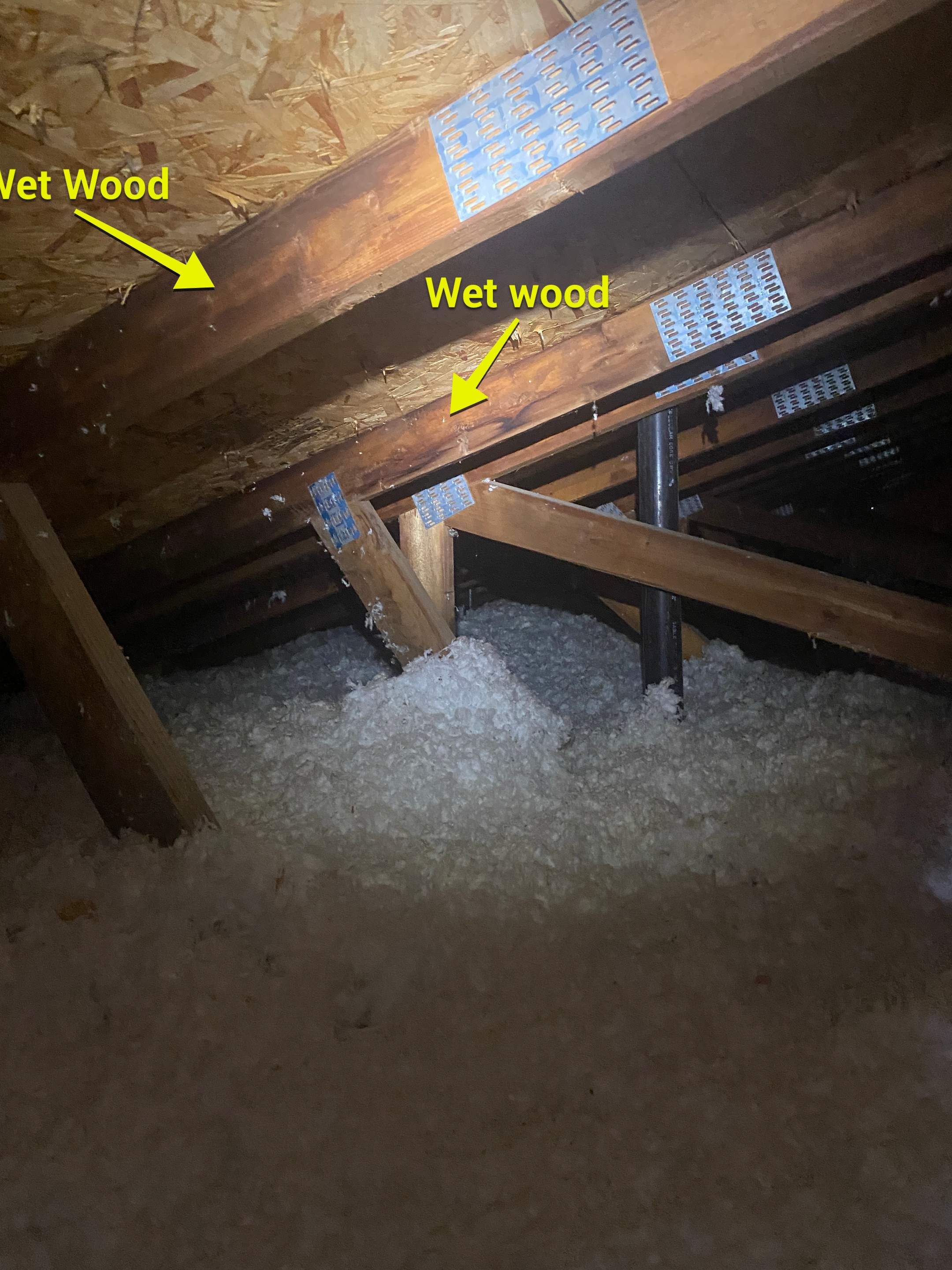 Interior Inspection by ASAP Roofing & Restoration