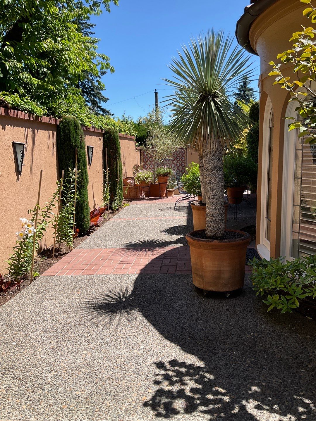 Flat work using Pressure washing no chemicals by Willamette Outdoor Wash LLC