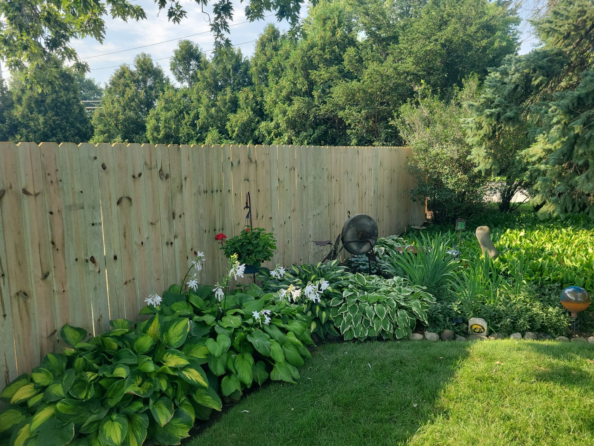 Residential Wood Privacy Fence Replacement and Gate Installation in Waterloo by Perfect Picket Fence and Stain