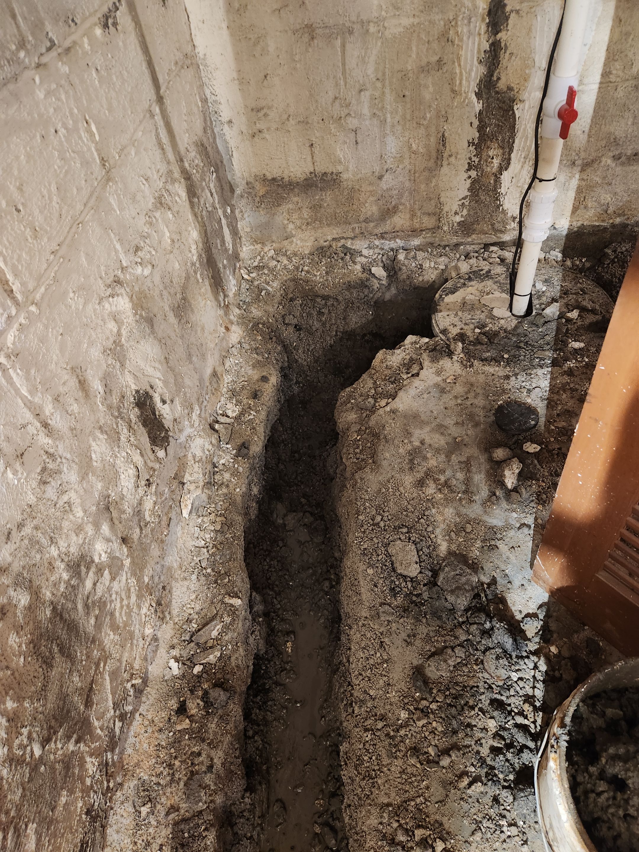 Interior French Drain & Mold Remediation Little Falls NJ by Pure Service Pro, LLC 