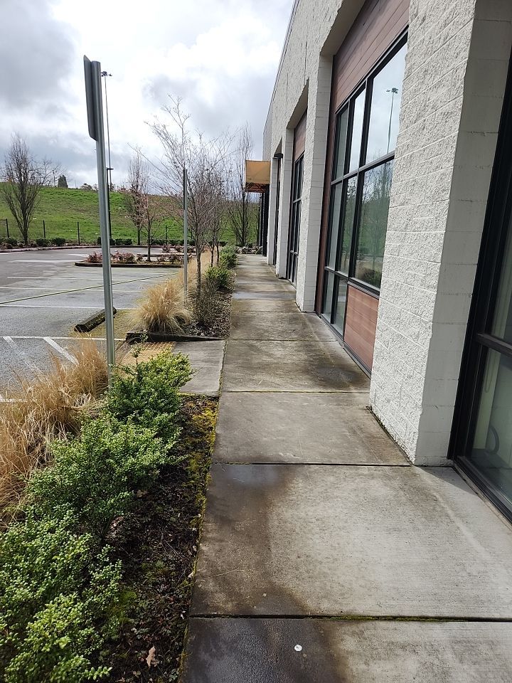 Soft Wash using Soft wash solution by Willamette Outdoor Wash LLC