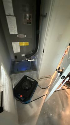 Wet Carpet Drying — Fort Myers, FL