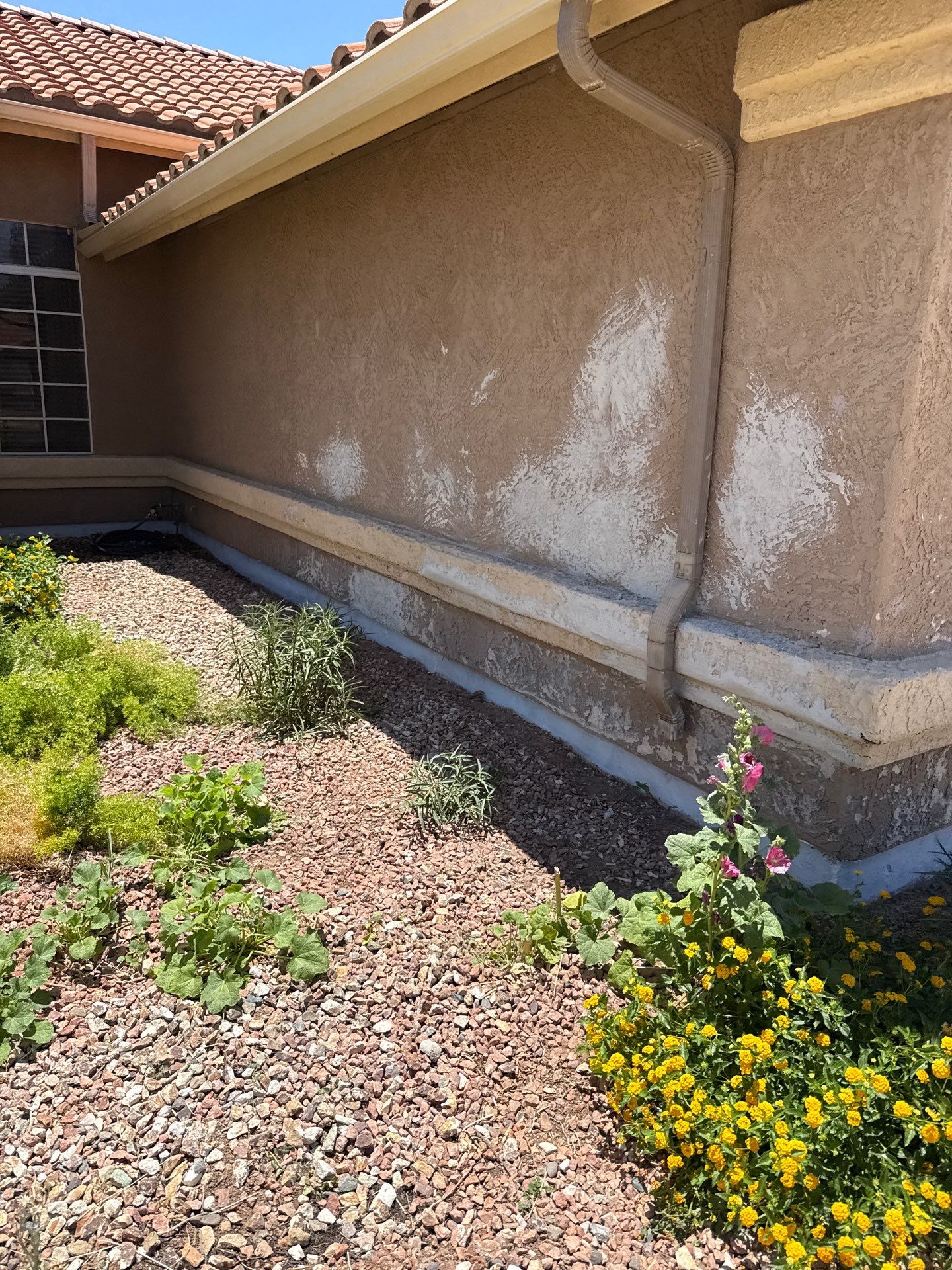 Exterior Painting - Chandler by Crash of Rhinos Painting & Garage Floors