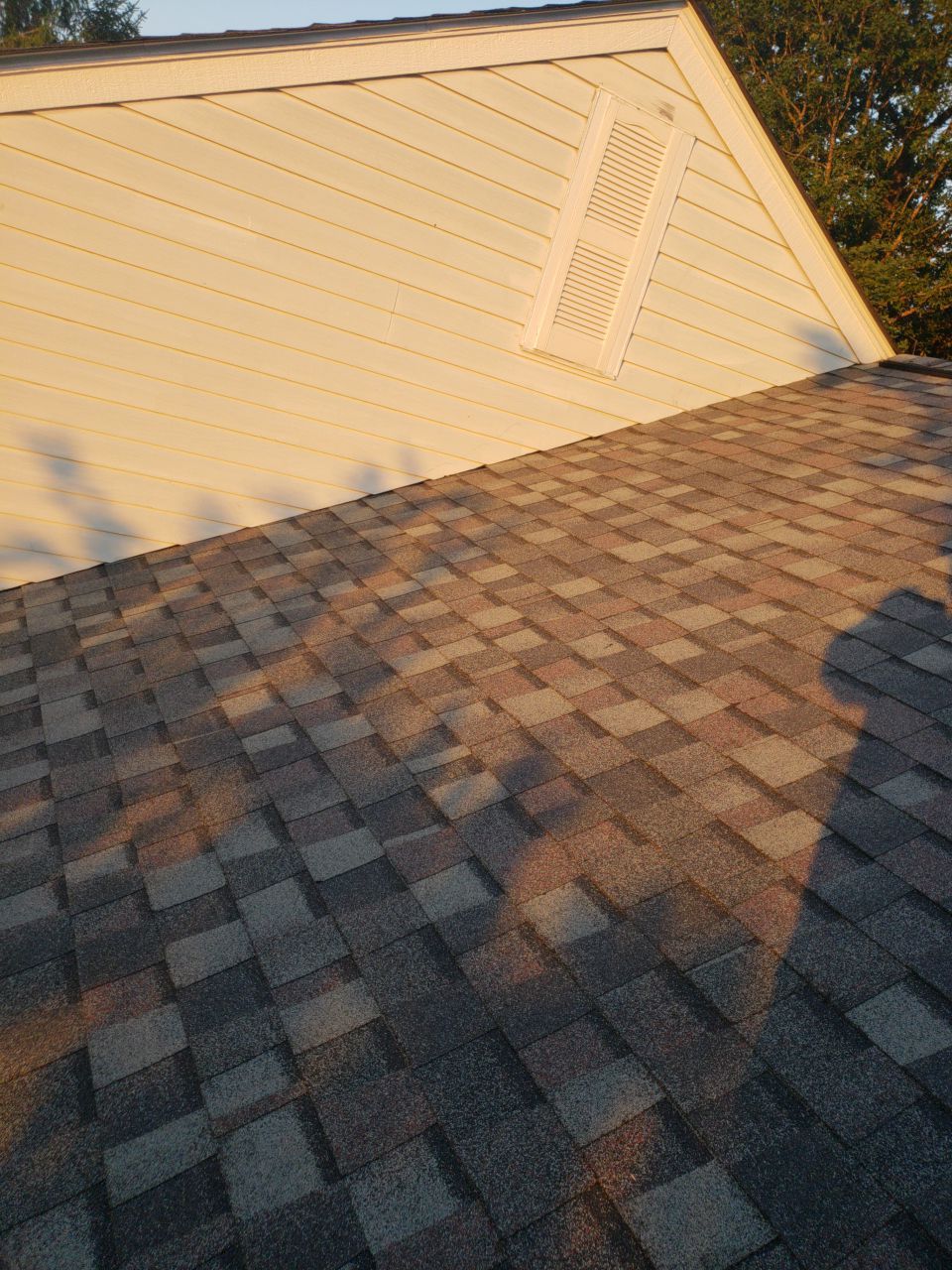 Alexandria: CertainTeed Landmark Pro Designer Shingles in Max Def Colonial Slate by RM Banning, Inc.