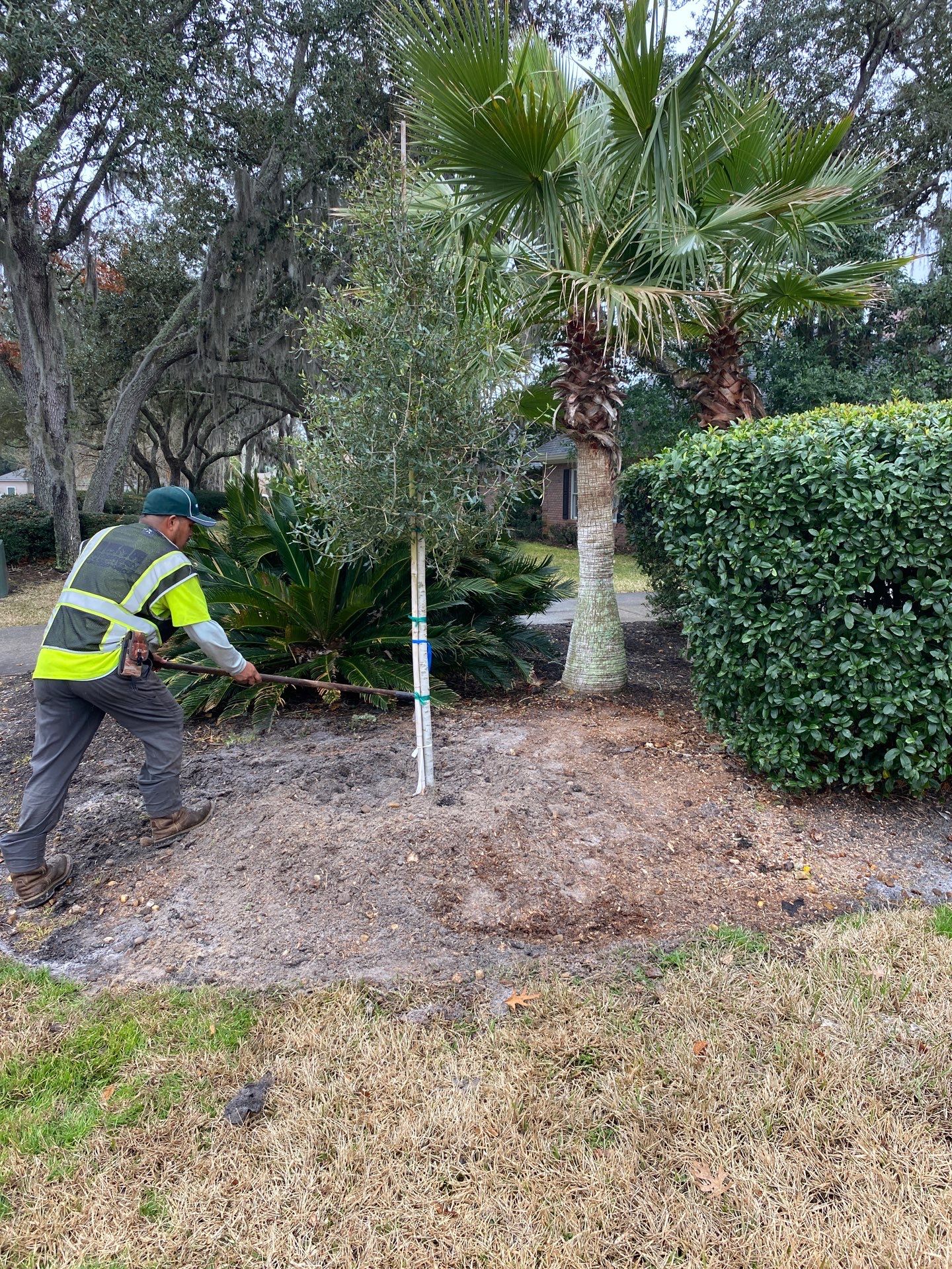 Deerwood Resident | Tree Install by ProGreen Services