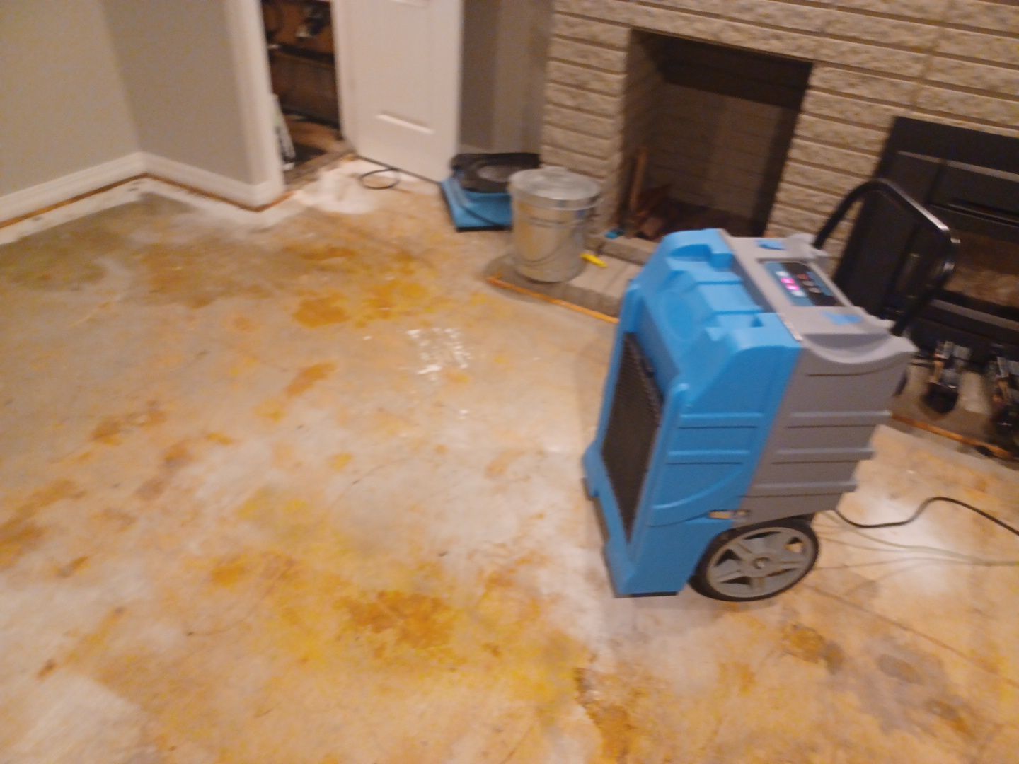 Project in West Bloomfield by EzDry Water Mitigation & Property Restoration