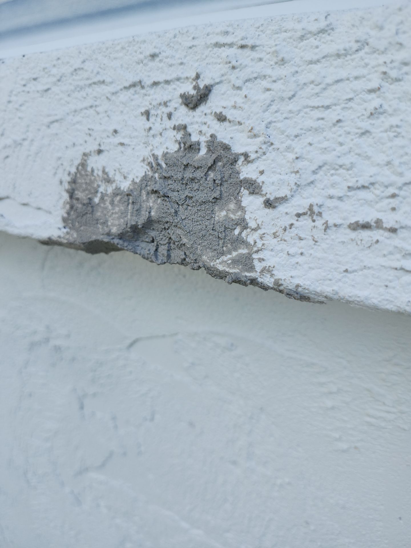 Project in Venice by Sunbelt Home Solutions