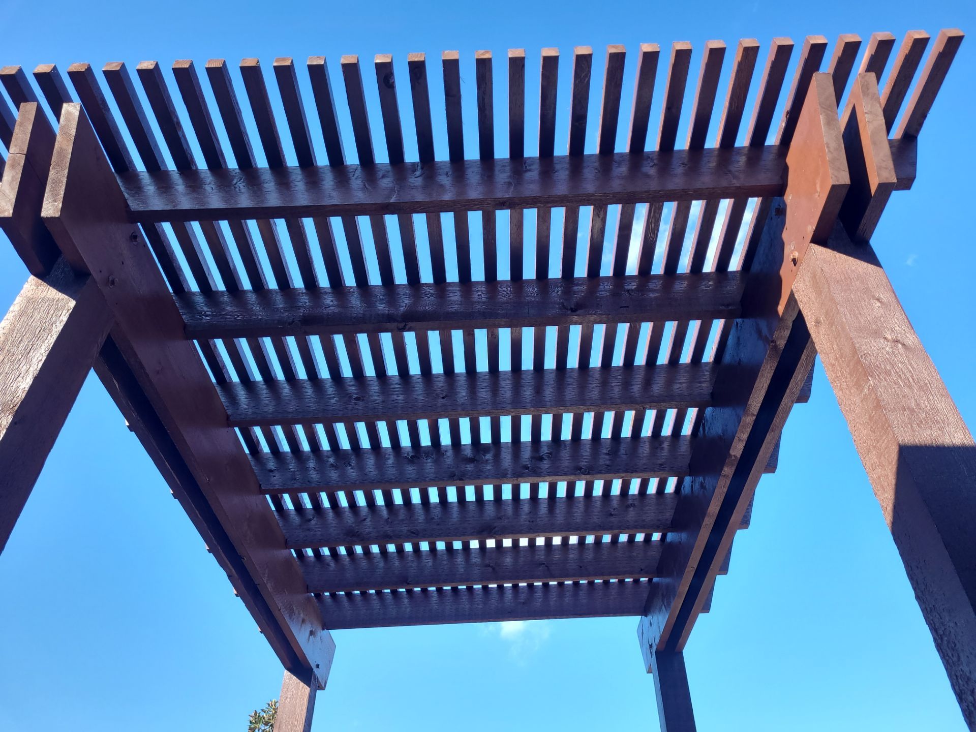 Pergola using Sophalx Crew by SophAlx LLC