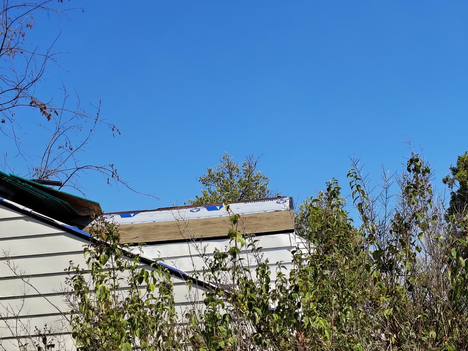 Roof/deck Rehab - Detroit  by Jones Cleaning Services