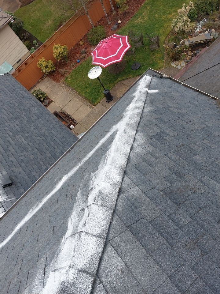 Roof Cleaning  using Moss Treatment  by BEST Roofing & Waterproofing