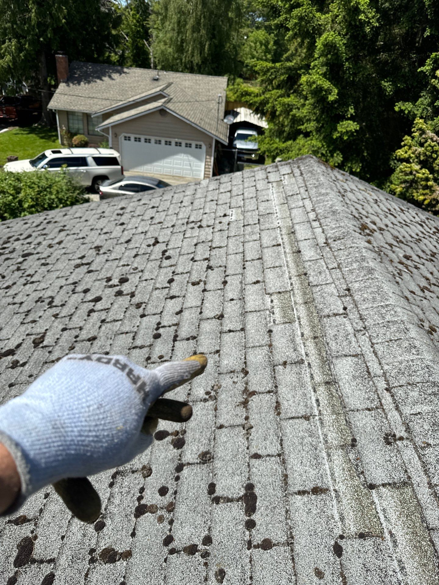 Project by Connolly Construction Company by Connolly Construction Company