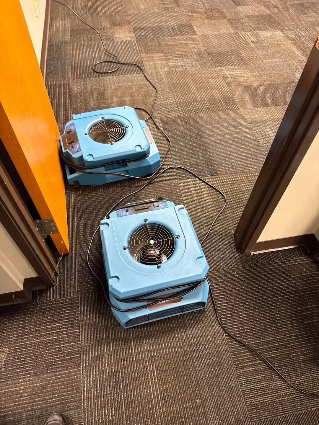 Project in Warren by EzDry Water Mitigation & Property Restoration