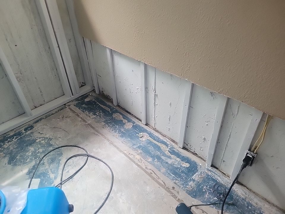 Mold Damage by Accountable Home Services