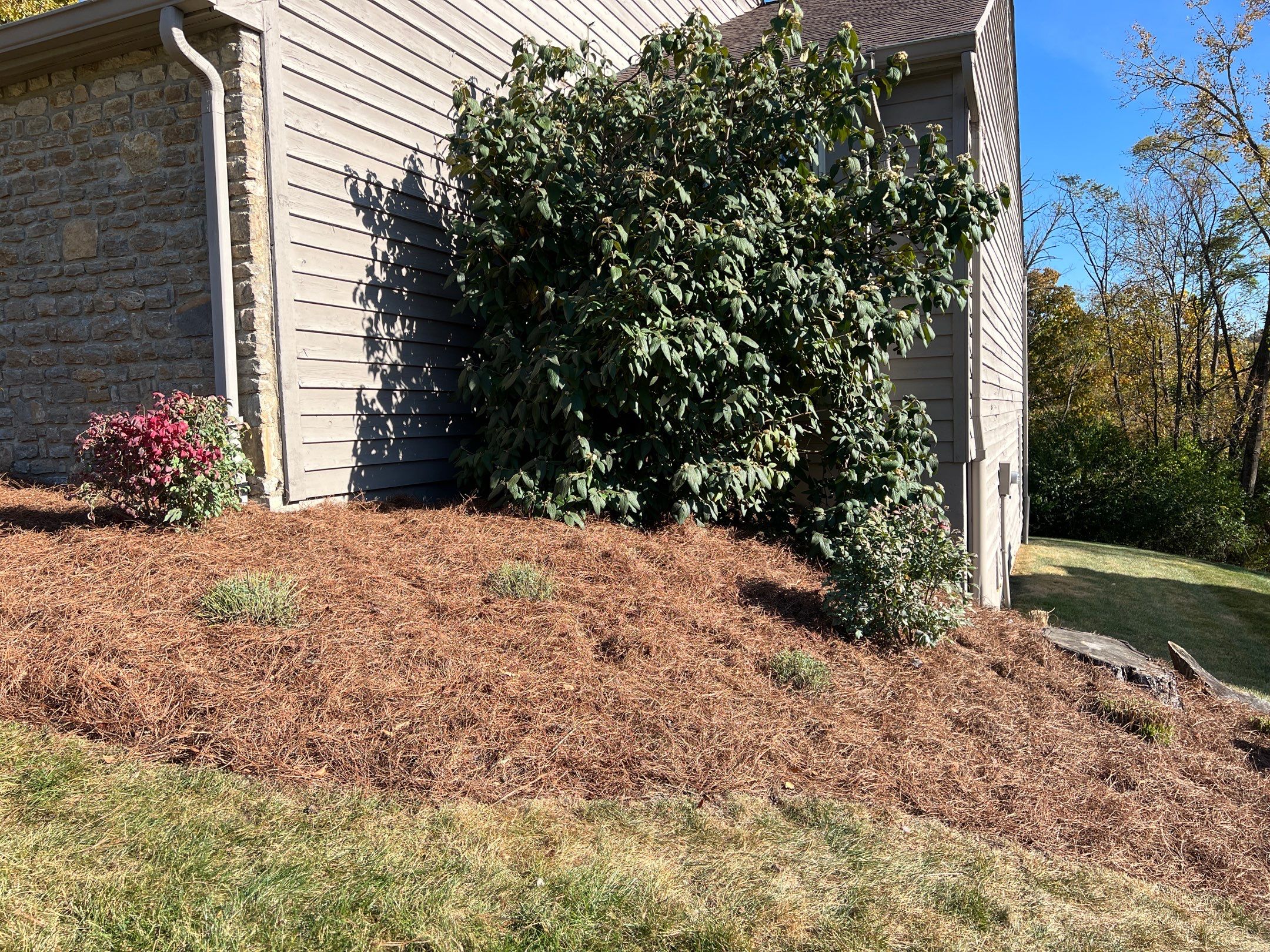 Spring Clean Up using Pine Straw by Reisenberg’s Lawn & Landscape, LLC