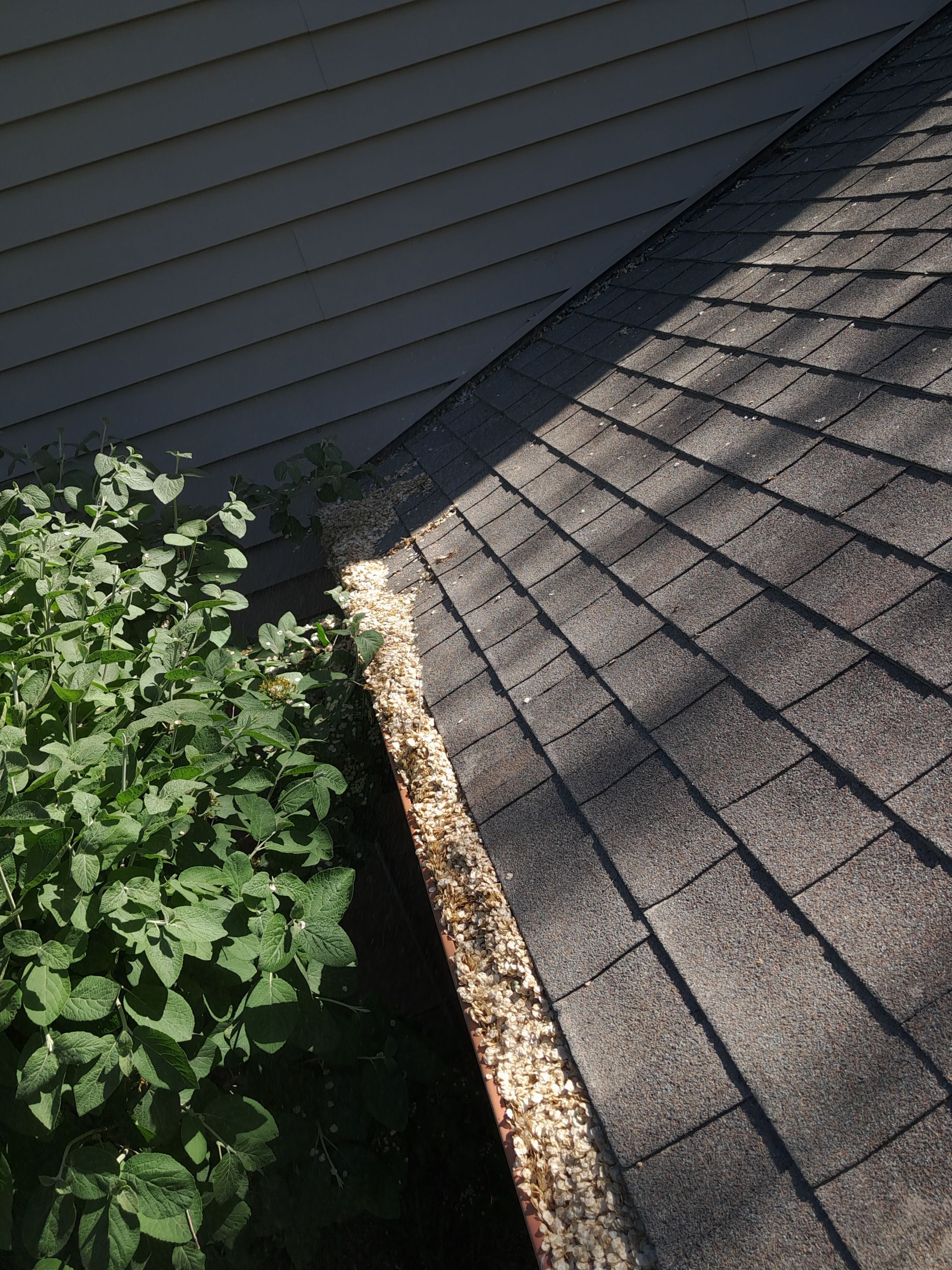 Commercial gutter cleaning Idaho before photo with filled gutters