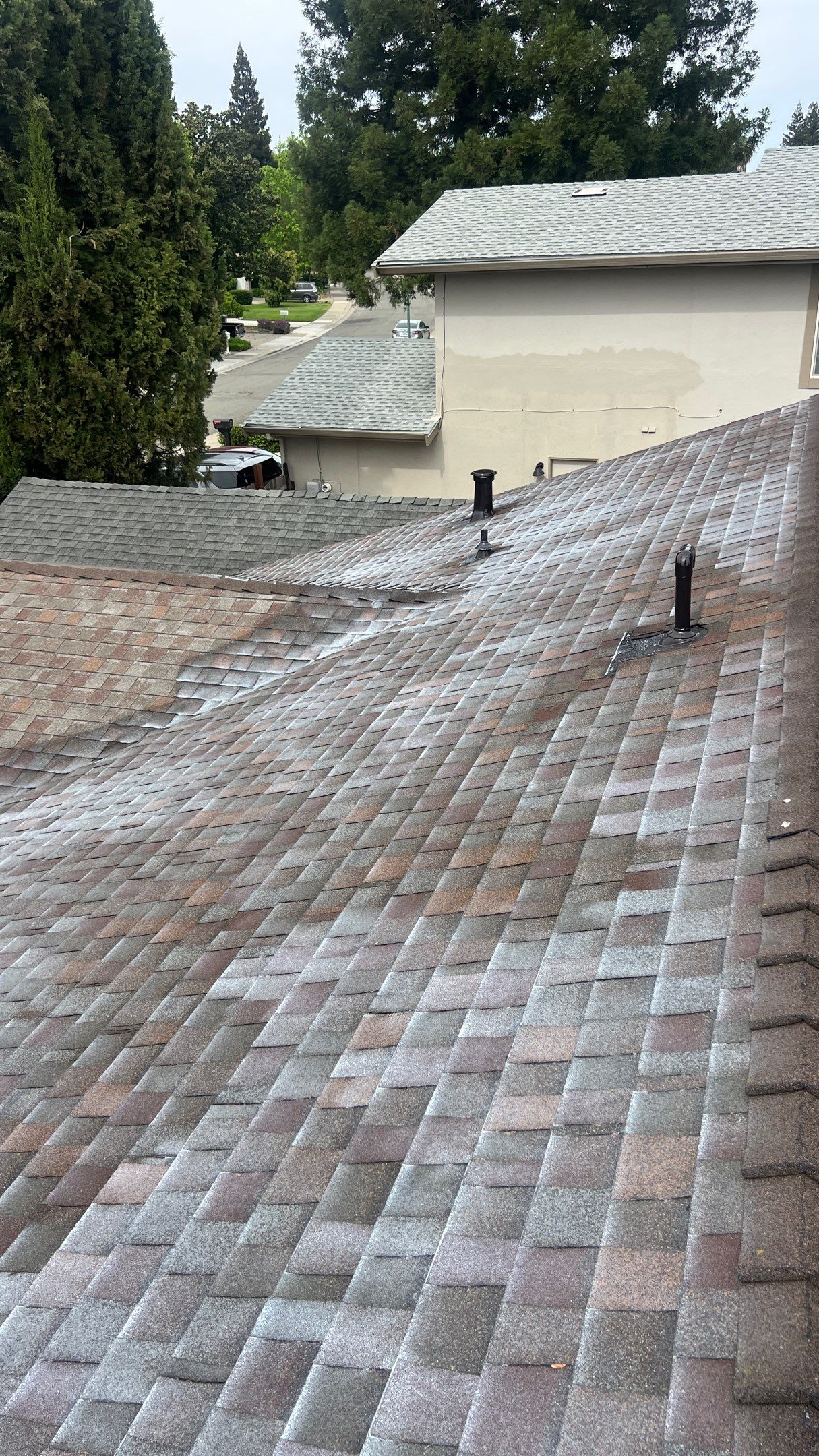 Roof Rejuvenation using Roof Maxx Treatment by Roof Maxx of Folsom