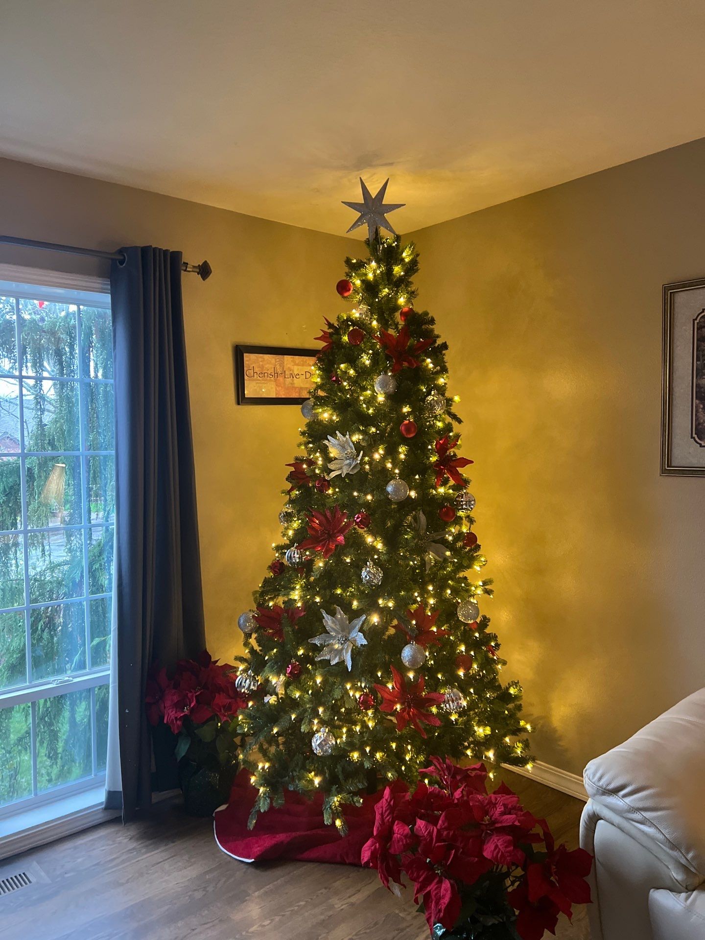 House cleaner Project in Tigard by Cloud 9 Professional Cleaning Services