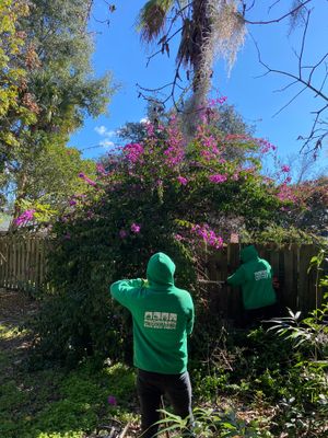 Deerwood Resident | Shrub Removal