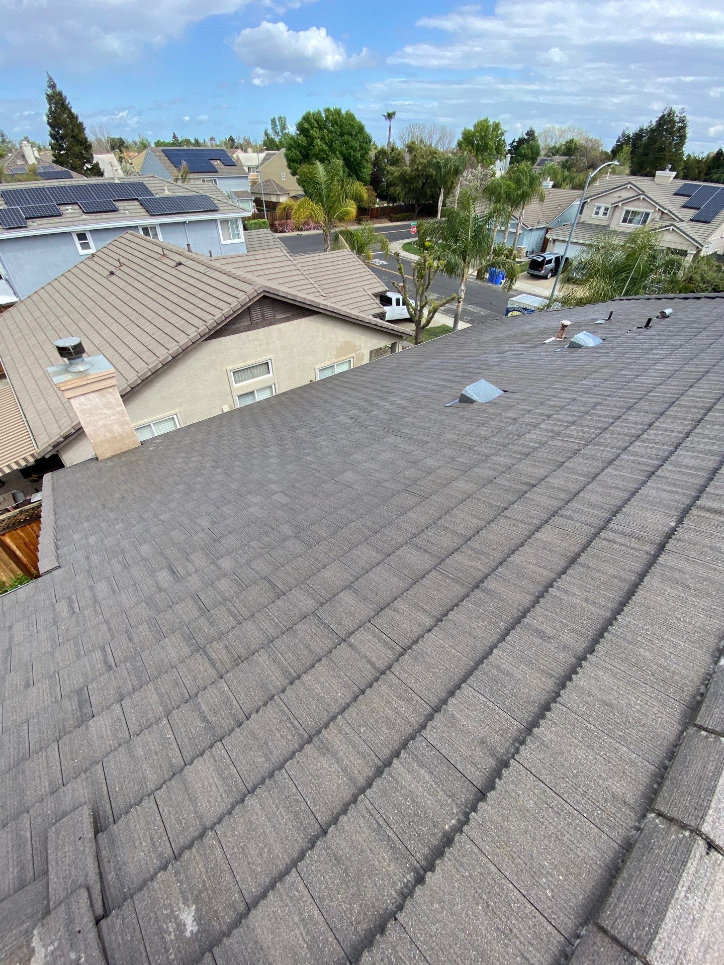 Moss Removal by Top Elevation