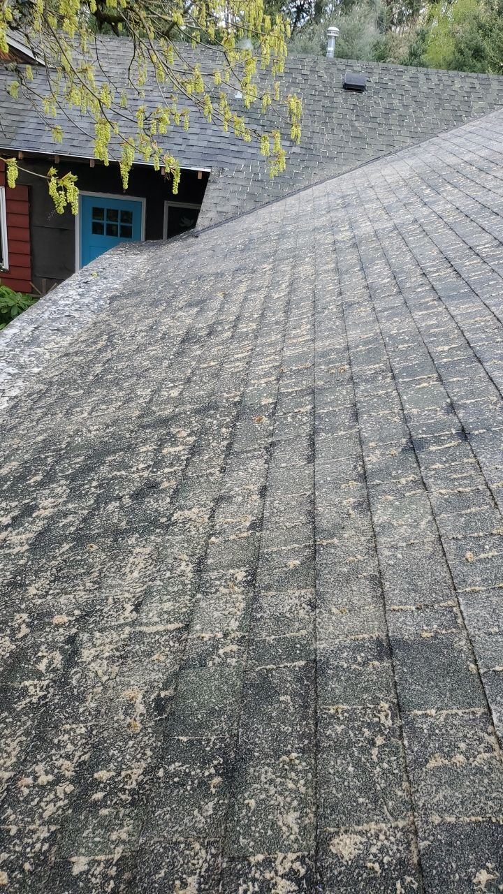 Roof Cleaning Moss Treatment by Willamette Outdoor Wash LLC
