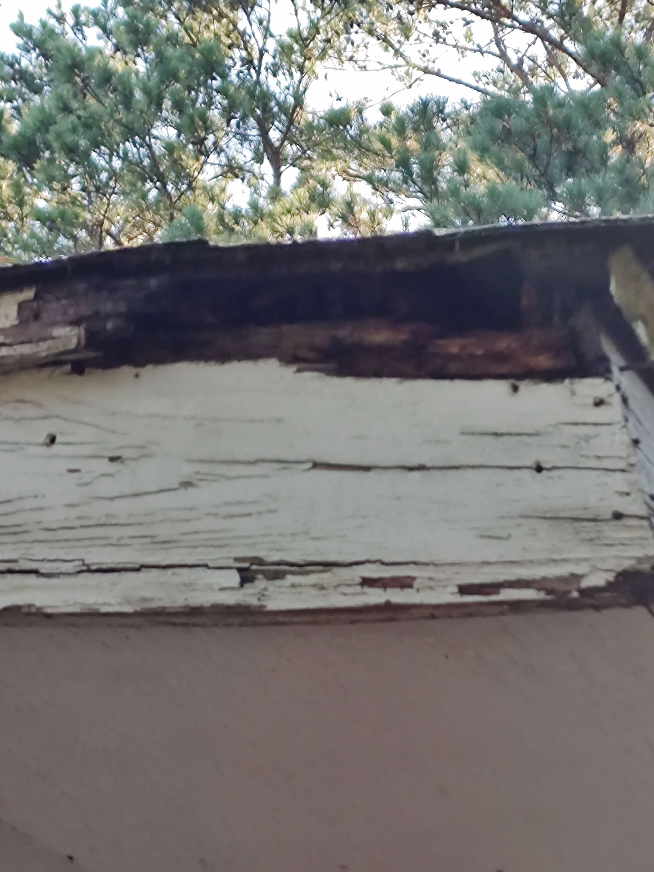 Residential Roofing Repair using Malarkey Vista: Sienna Blend by Hostetler Roofing