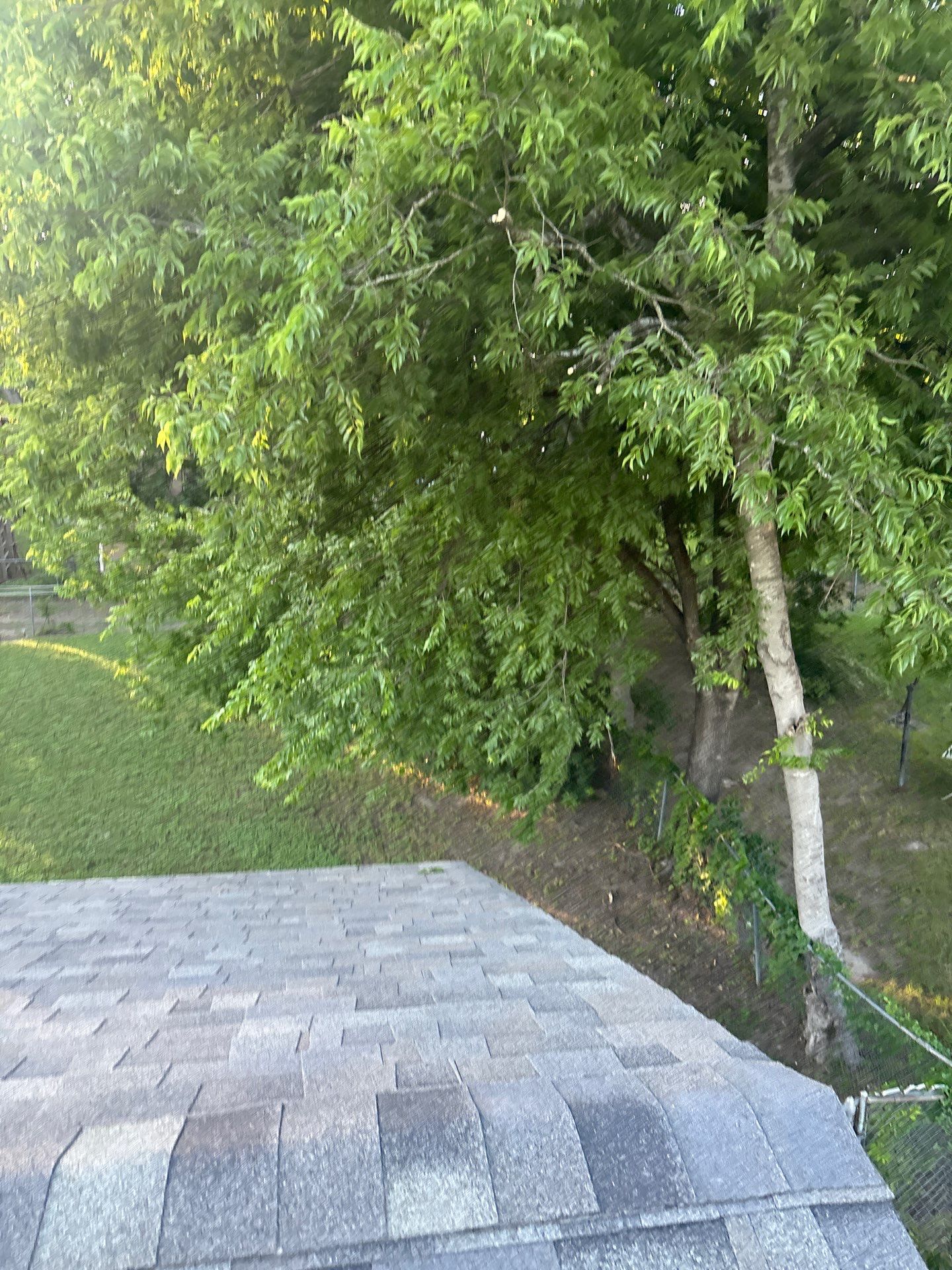 Roof and Gutters. by Berry Good Roofing 
