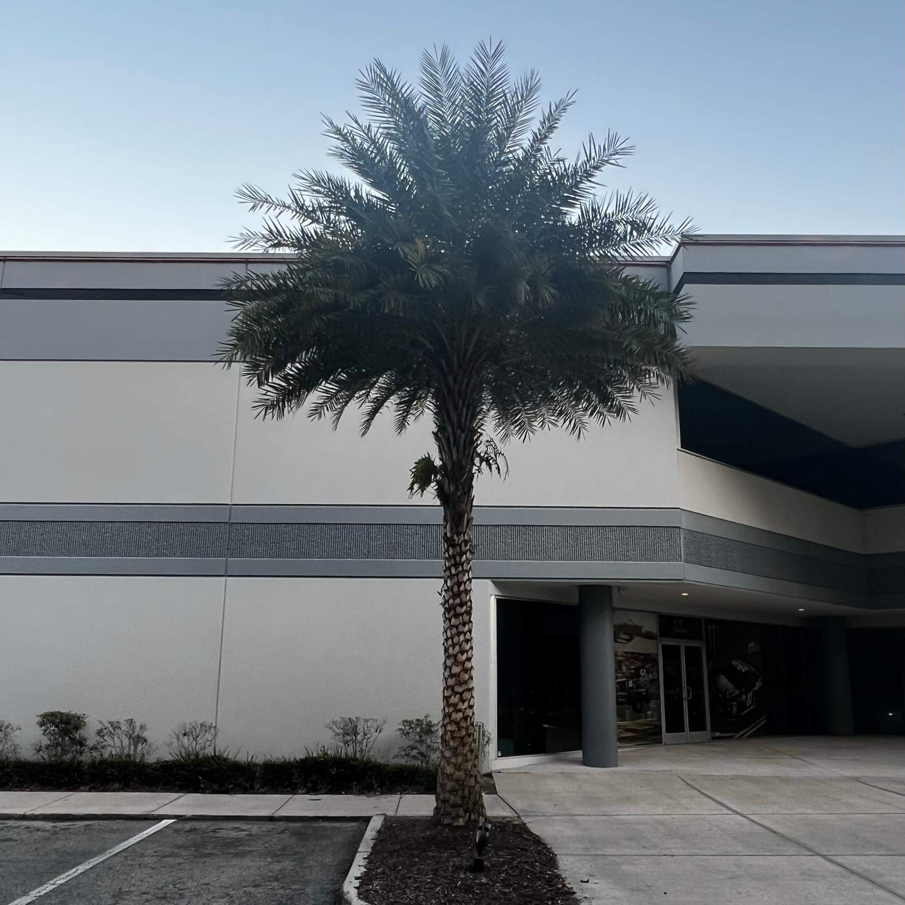 Tree Trimming | Autobahn Raceway by ProGreen Services