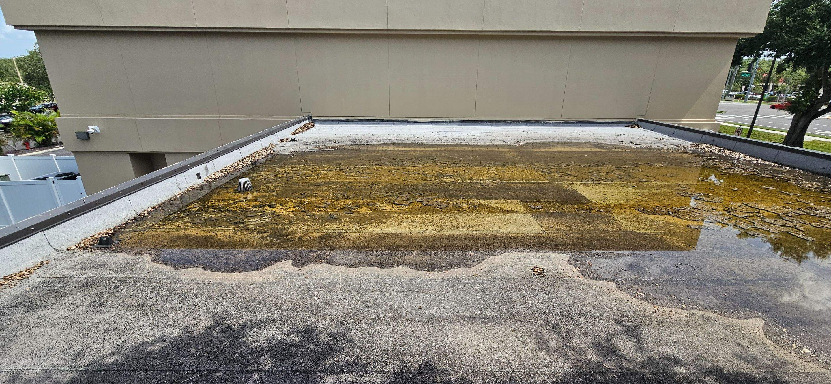 Industrial roof & gutter cleaning before.