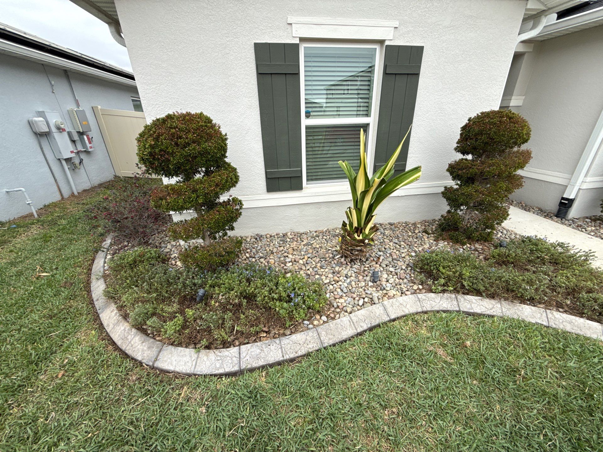 Cold Damage Plant Removal & Landscape Cleanup by
M.A.B. Landscaping & Property Maintenance
