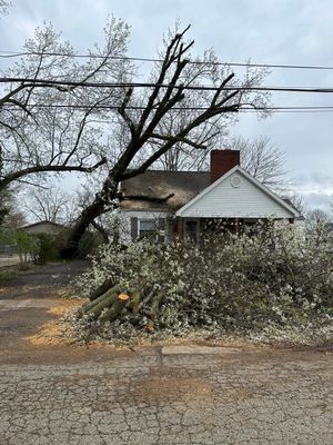 Storm Damage New Holland Ohio