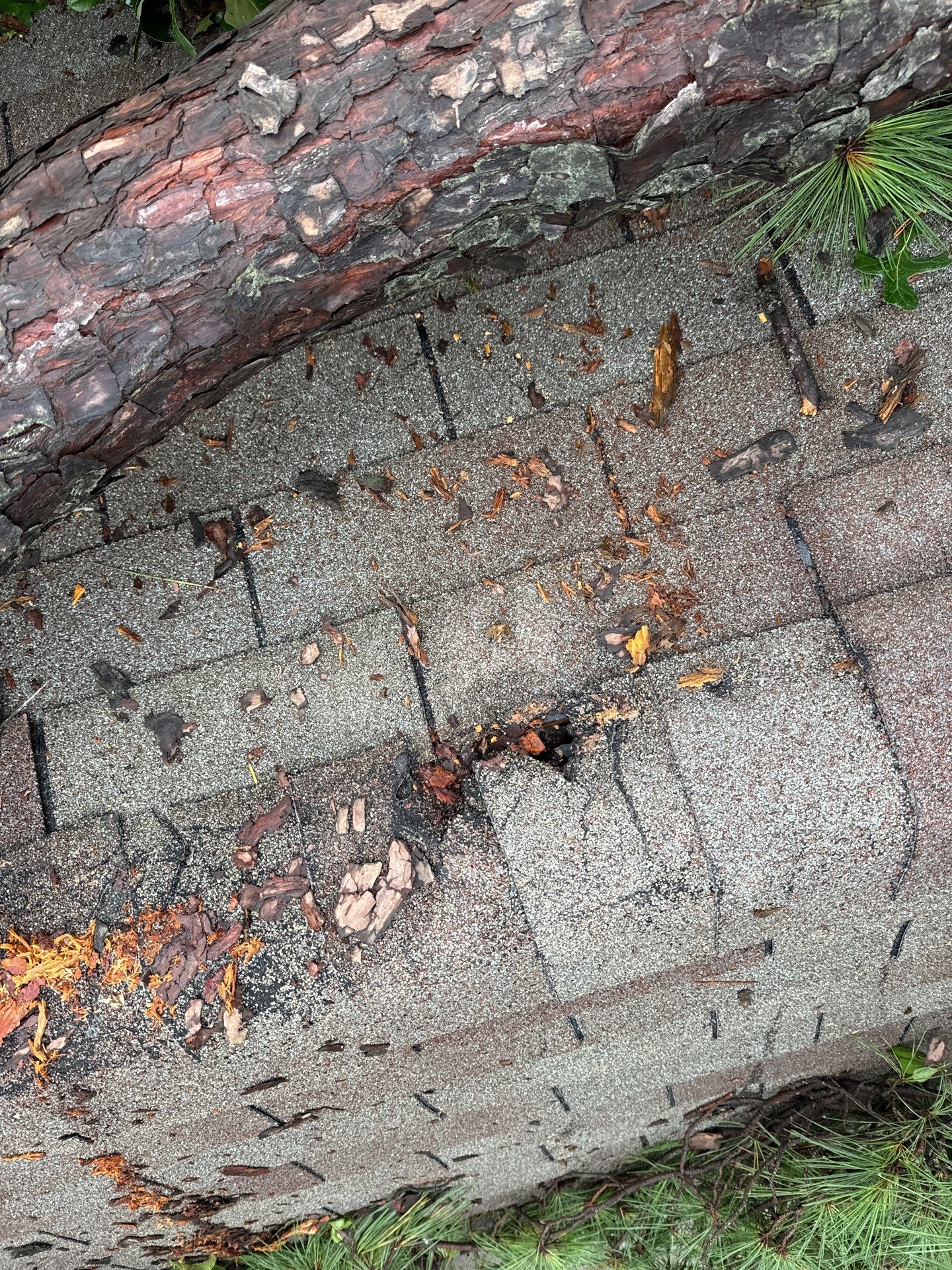 Residential Roofing Repair using Owen's Corning Duration (Lifetime) Shingles by Roof Repair Company