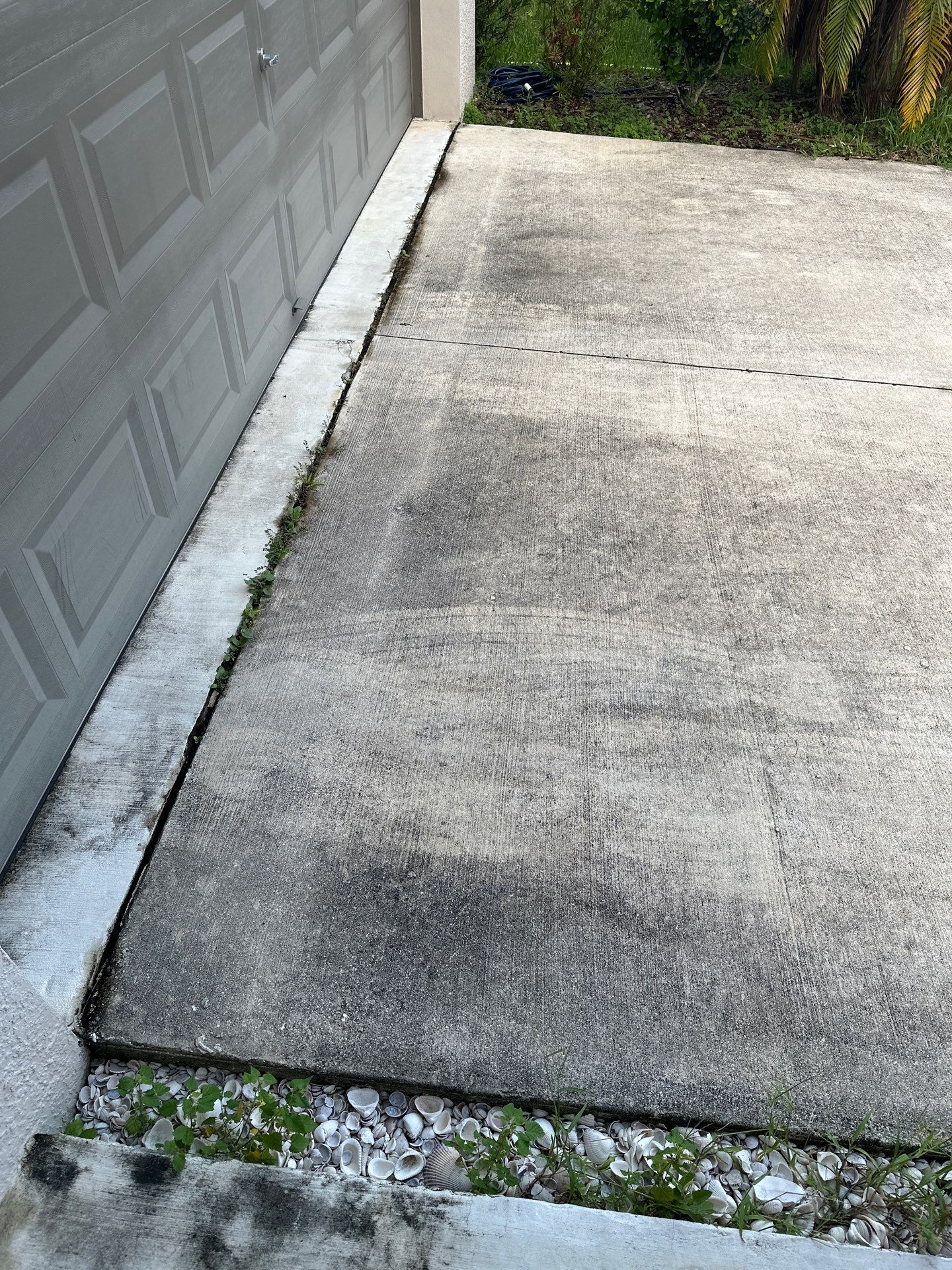 🚿 Concrete Driveway, Sidewalk & Entryway Cleaning – Trevesta Community, Palmetto, FL by Sunshine AquaWash