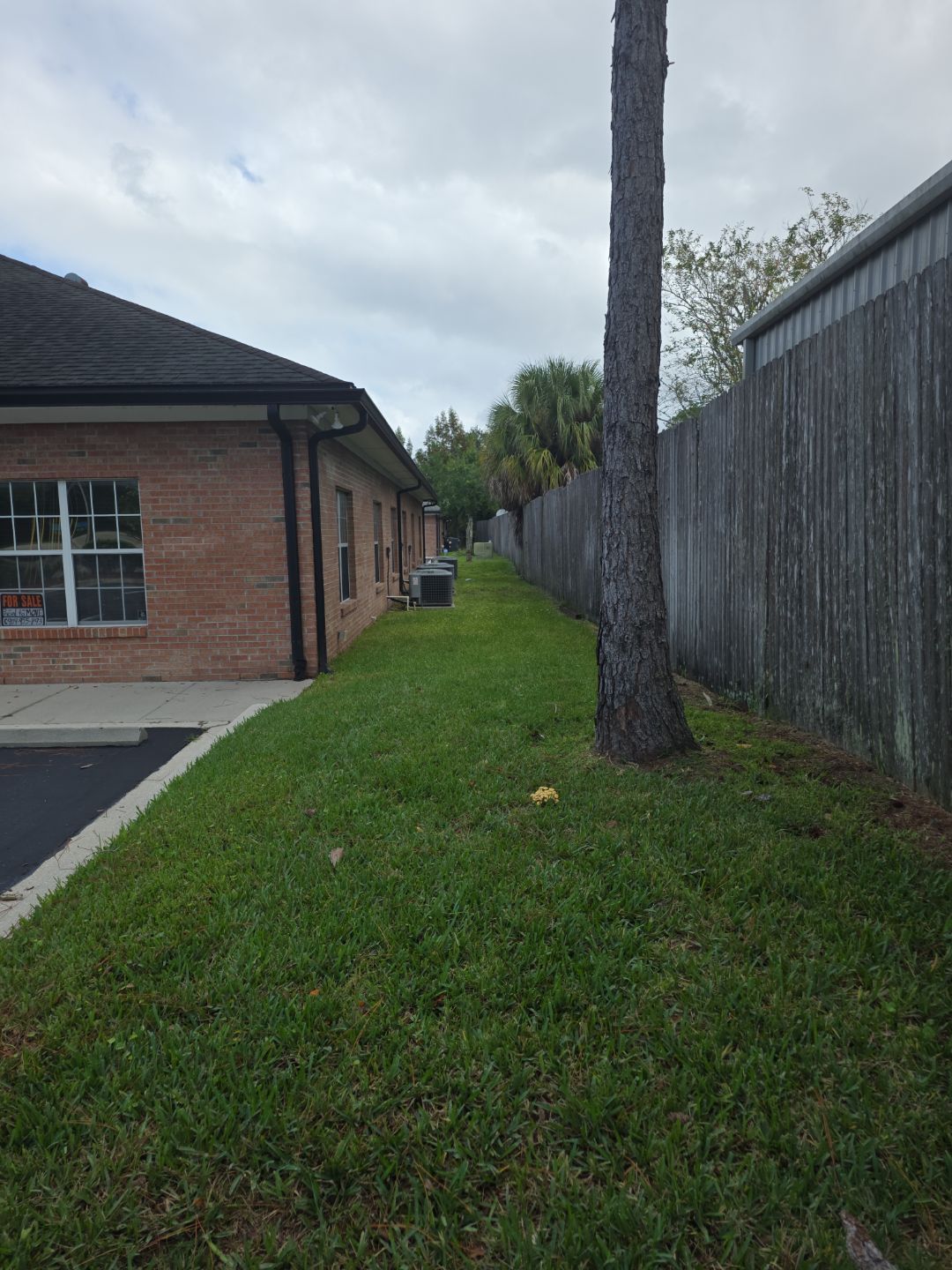 Commercial Property | Tree Removal & Trimming by ProGreen Services