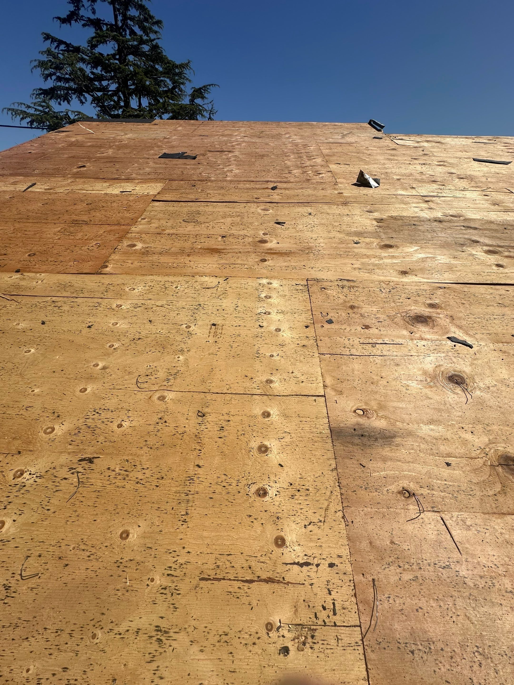 Roof Replacement - San Rafael, CA 94903 by Epic Roof Replacement