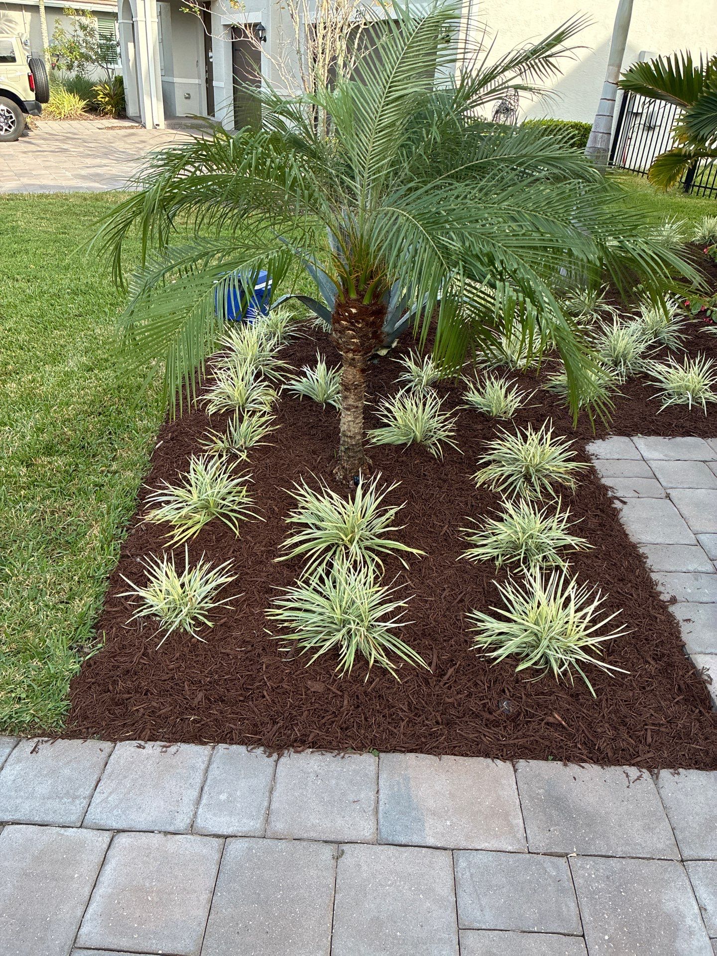 🍃 Berry Park | Detail & Refresh Project  📍 Palm City, Florida by Alpha Zeta Enterprises Inc
