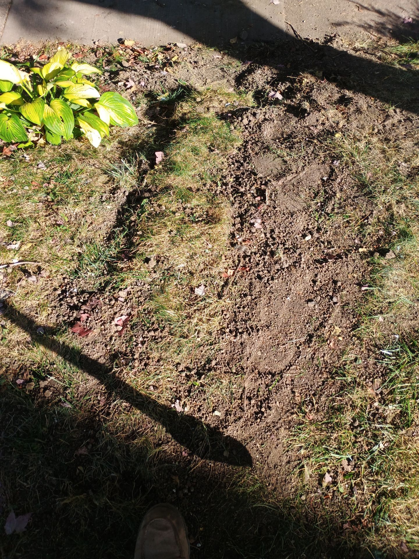 French Drain Installation for Michael by Waterproofing Northeast