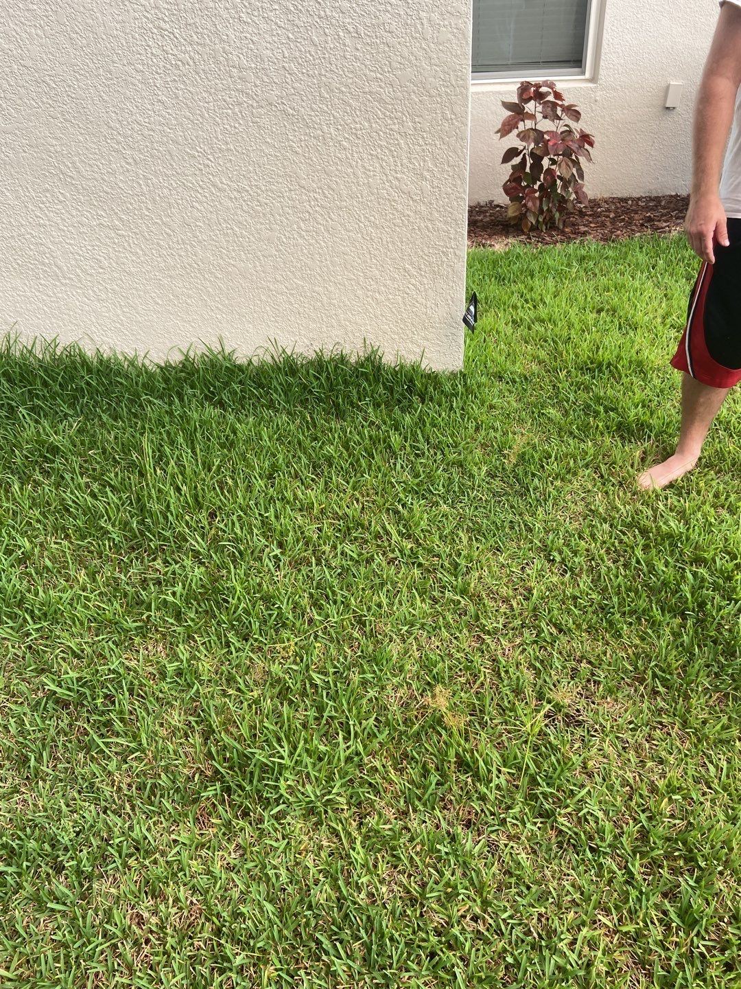 Palmetto, FL 6ft. Tall Tan Vinyl Privacy Fence  by Asap fence and gates, LLC