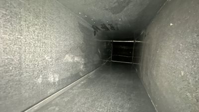 Air Duct Cleaning and Suspect Growth Removal Before and After Video/Photos Removal of mechanical component.