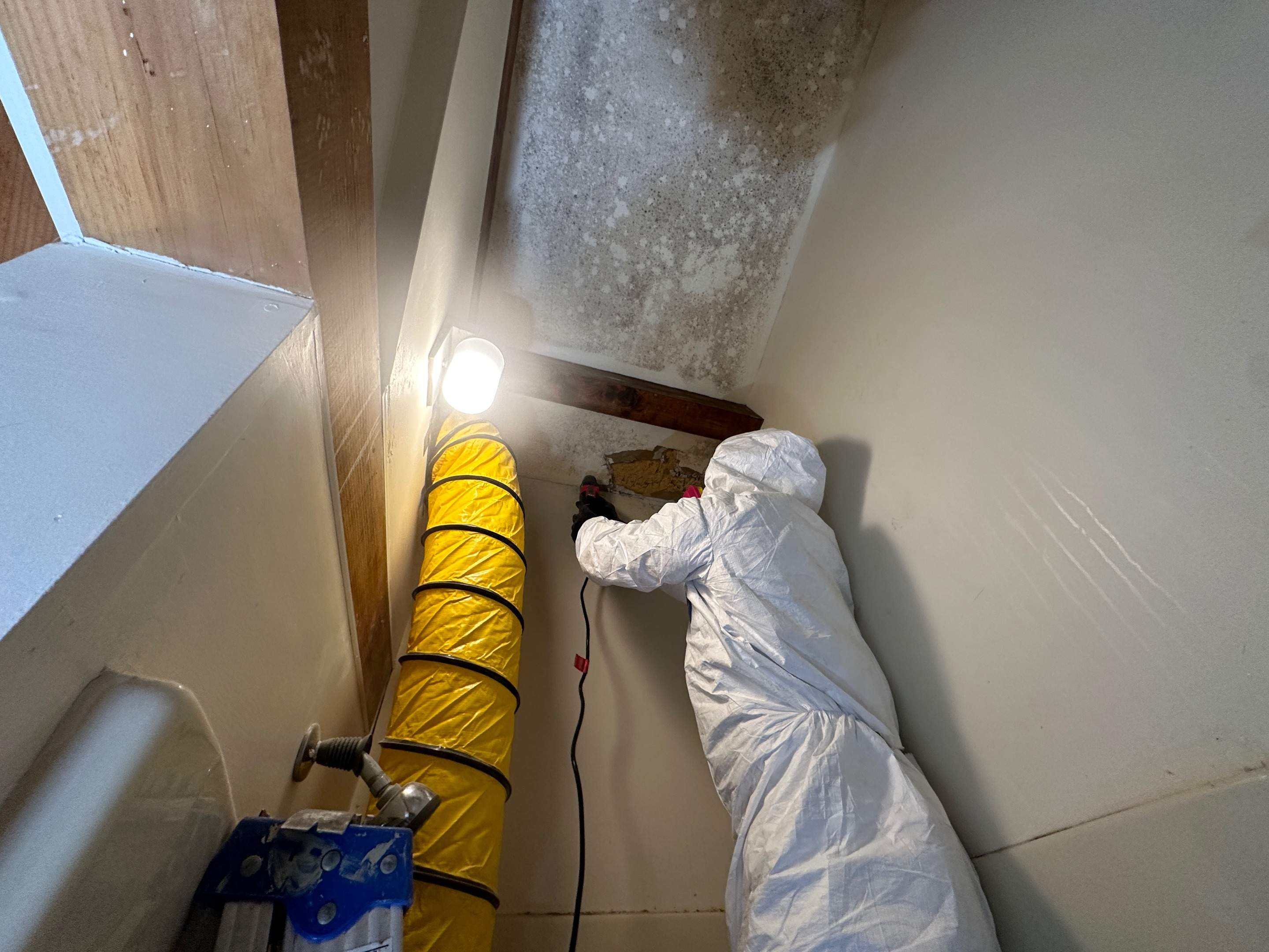Bathroom Mold Remediation by Home Guarantee, LLC