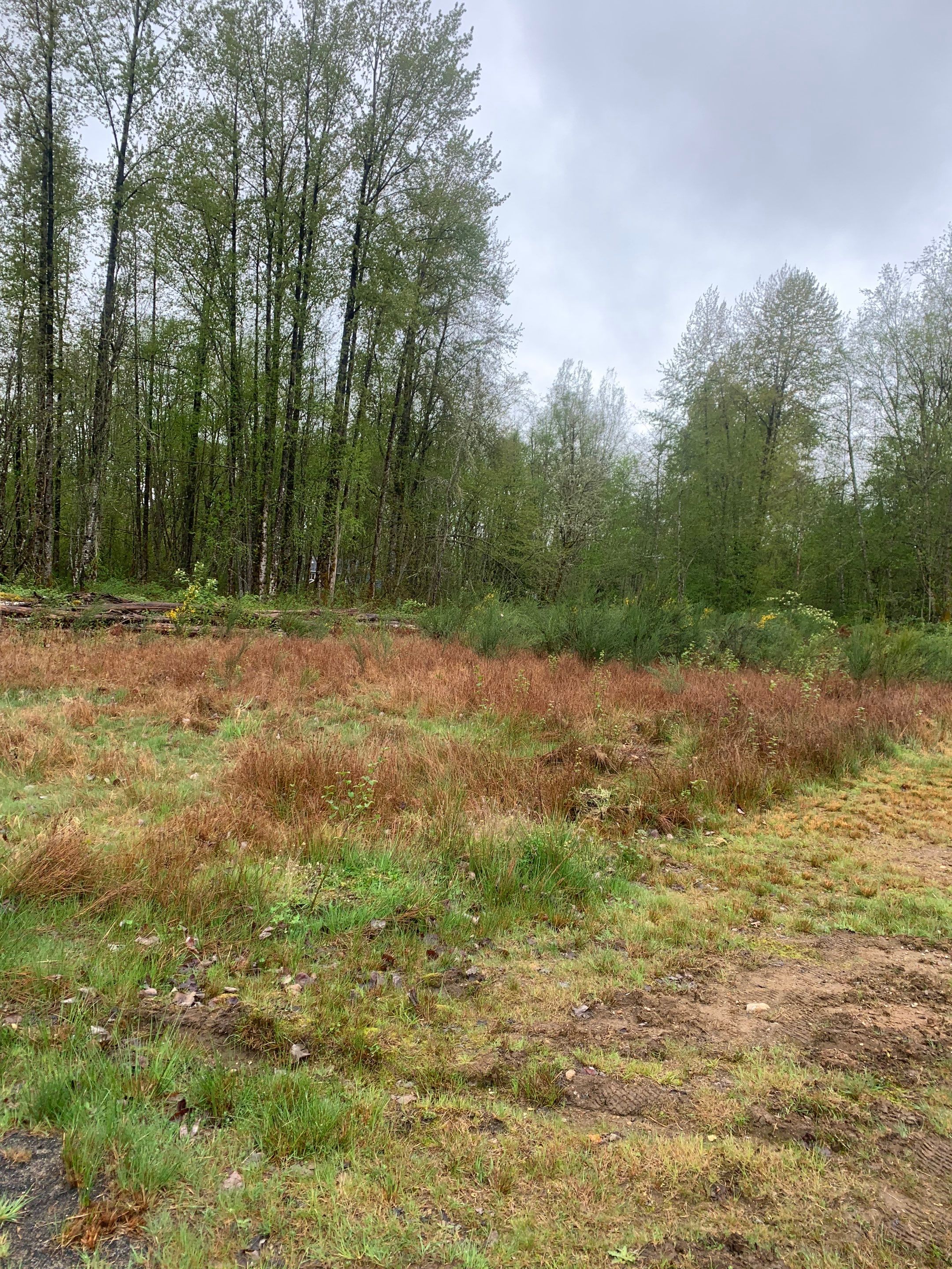 Monolithic Concrete Slab Foundation | Lake Stevens by Jireh Asphalt & Concrete Inc 