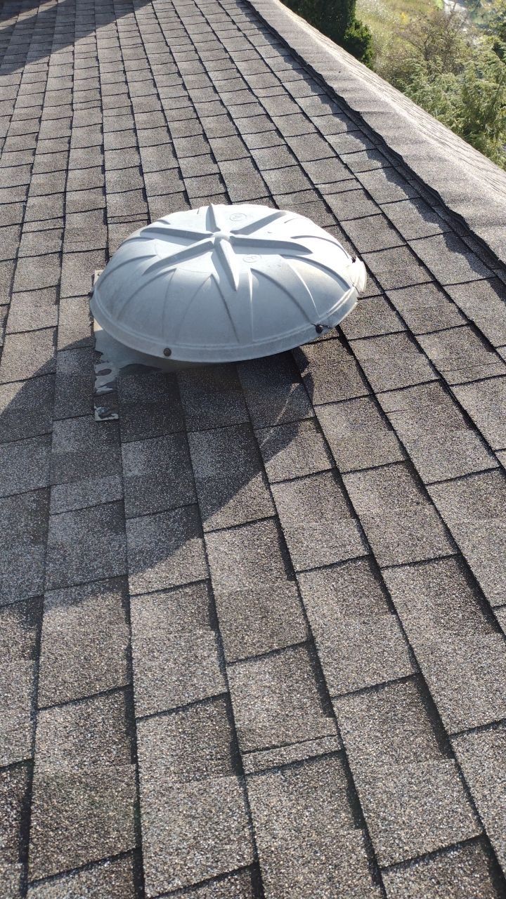 Elizabeth Lear by Silver Leaf Contracting 