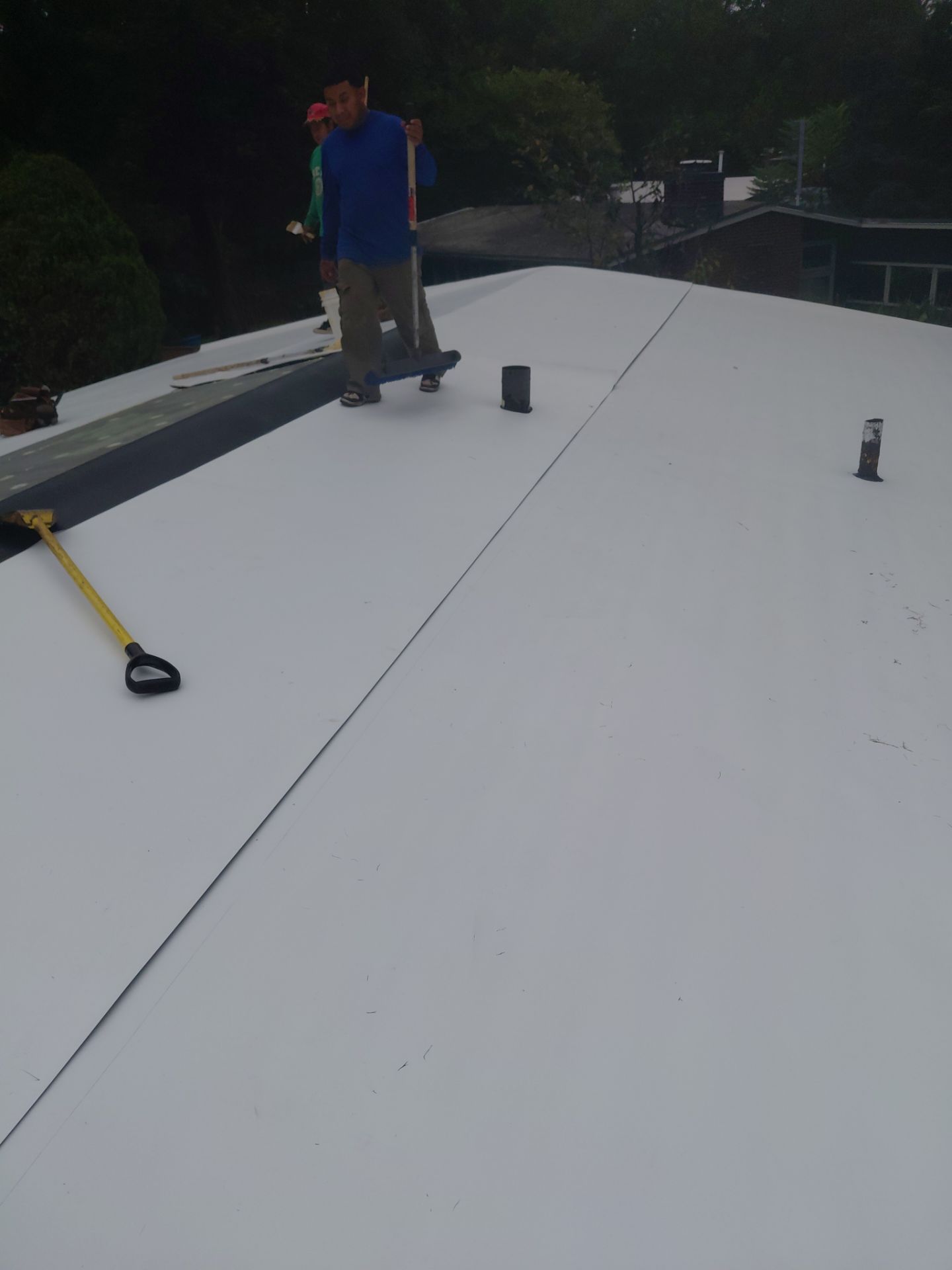 Falls Church :  TPO by RM Banning, Inc.