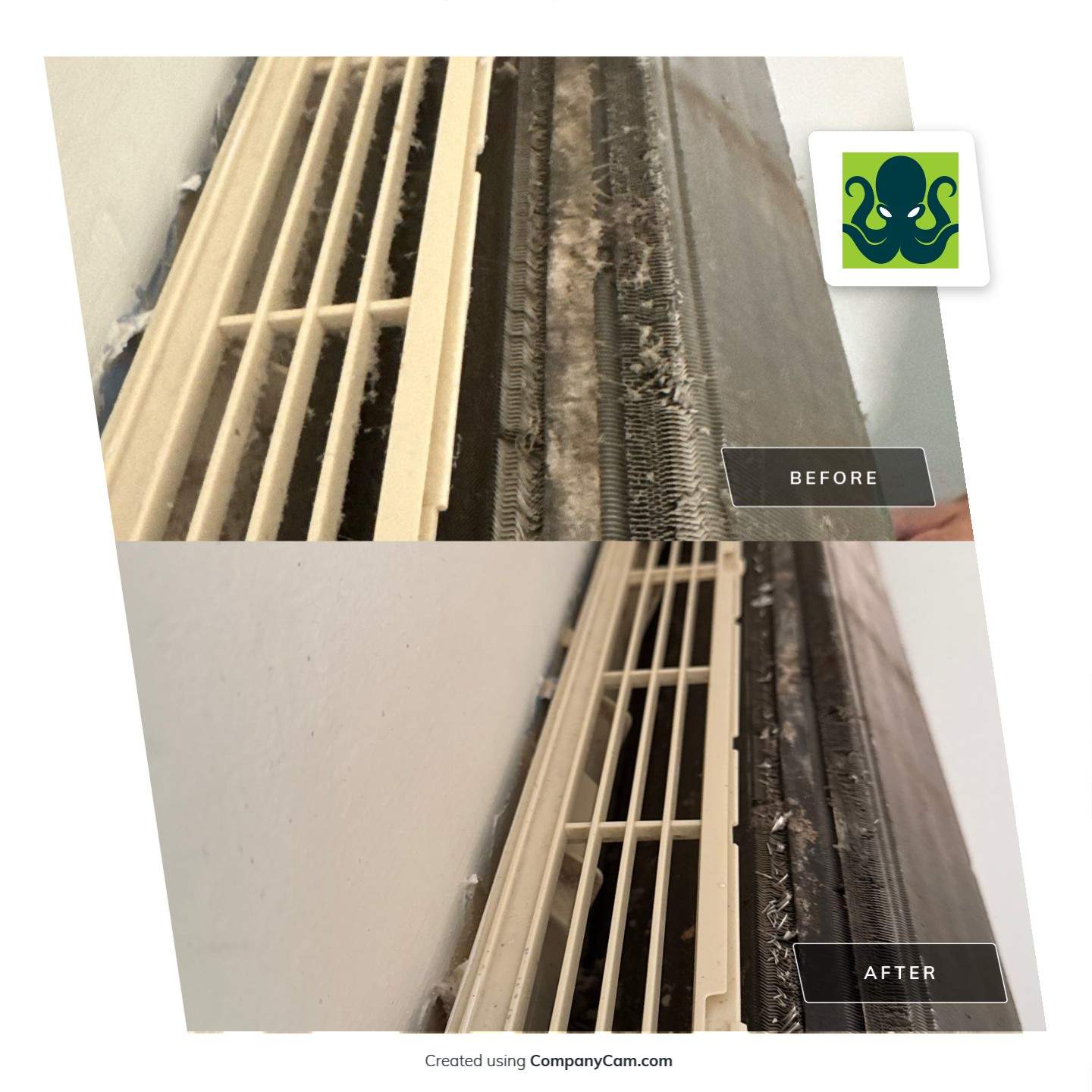 New Paltz, NY — Mini-Split Deep Clean & Biological Growth Removal by Shelter Air