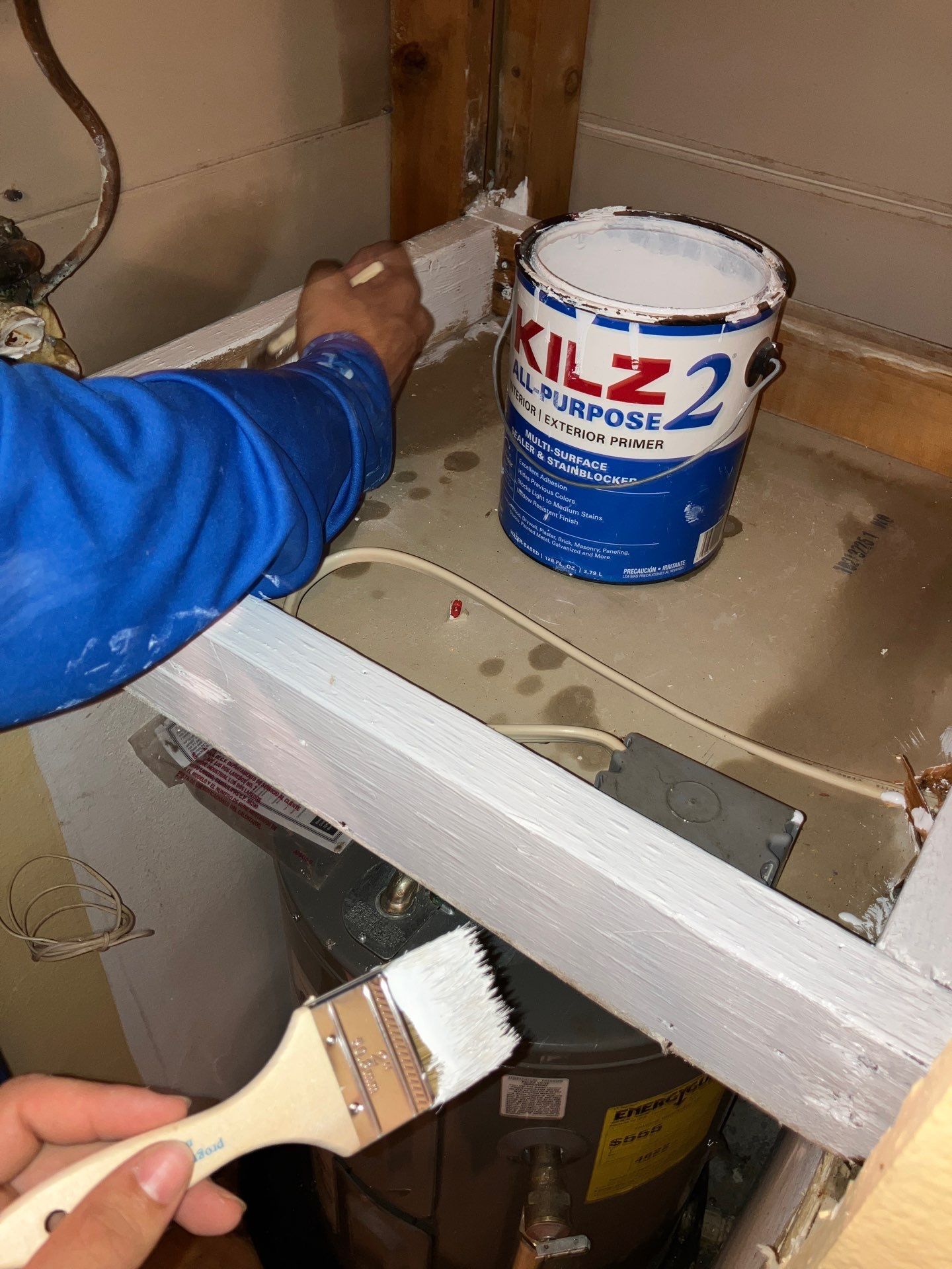 Bradenton Mold Remediation by Ampm Restoration Services