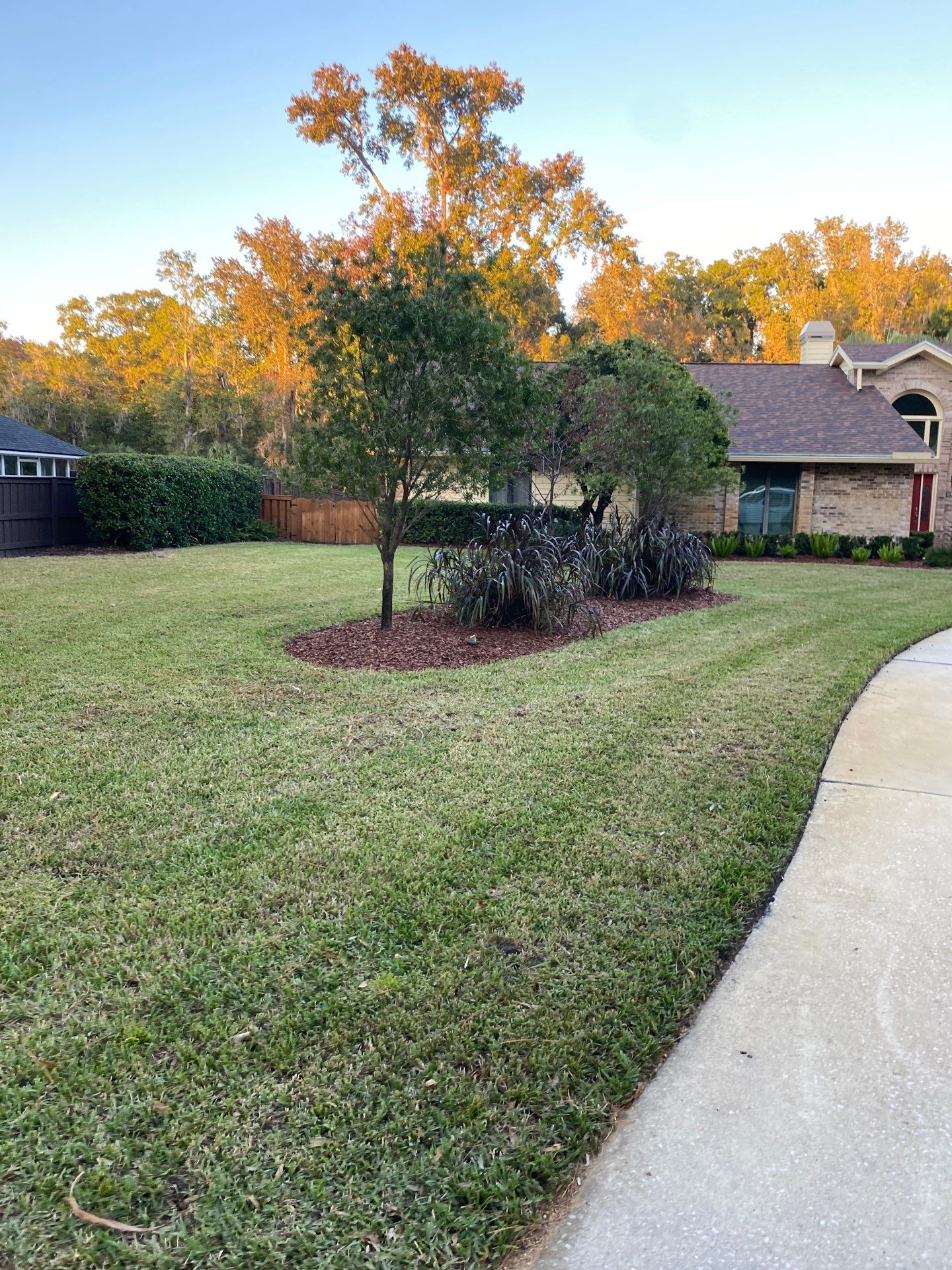 Deerwood Resident | Extreme Clean Up by ProGreen Services