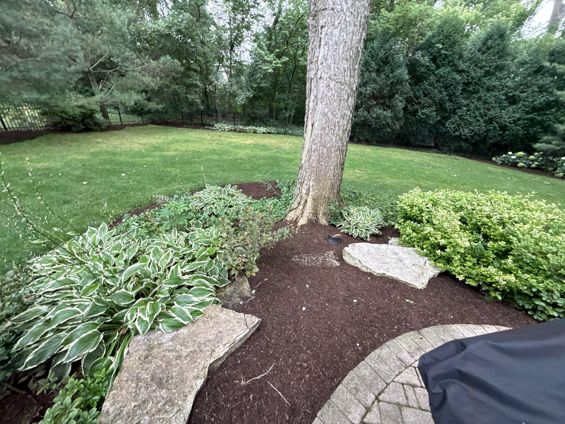 Christopher B. - Glenview, IL by A&N