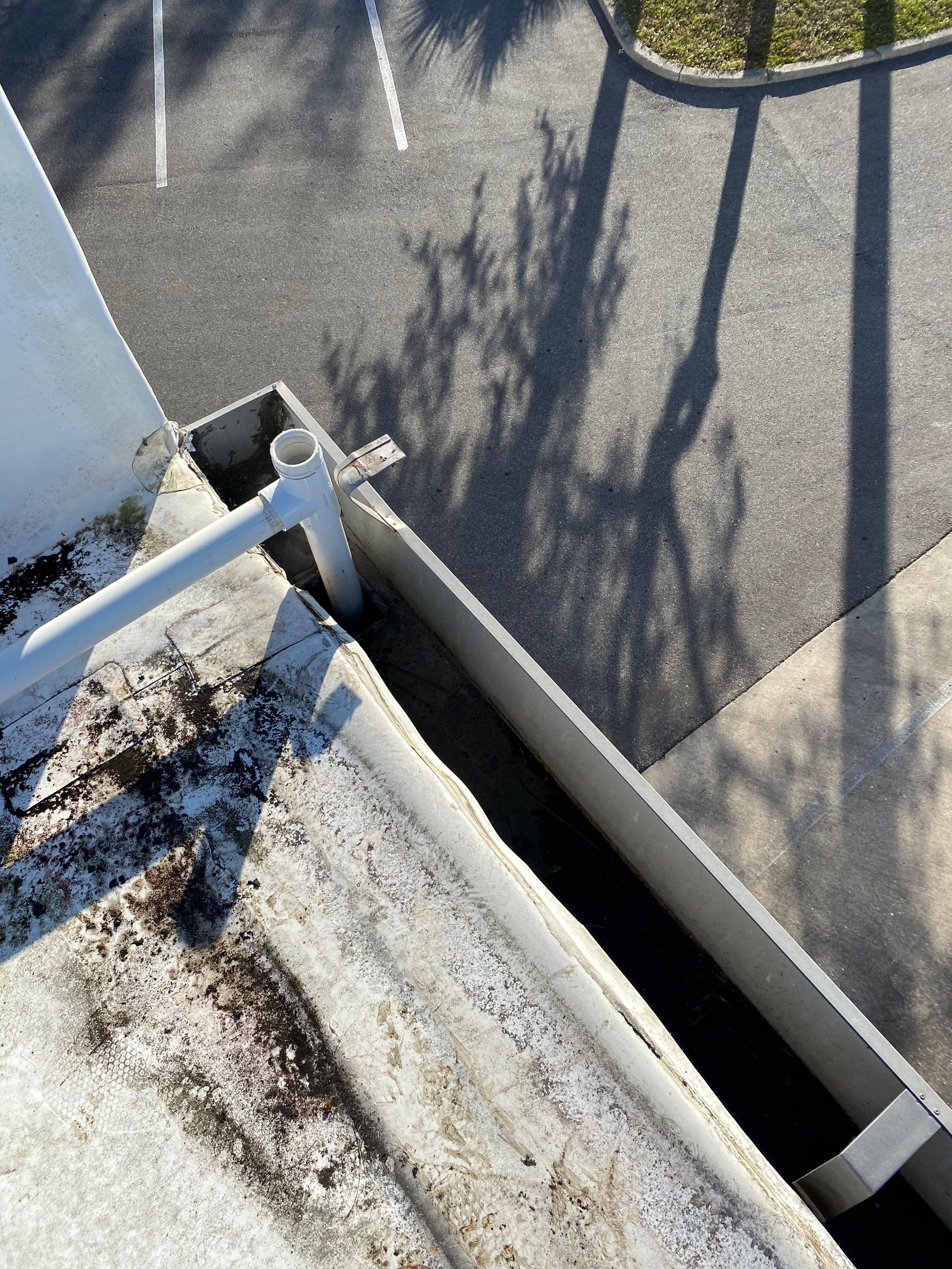 7-Inch Seamless Gutters for Commercial Installation in Sarasota FL by Gutter Professors