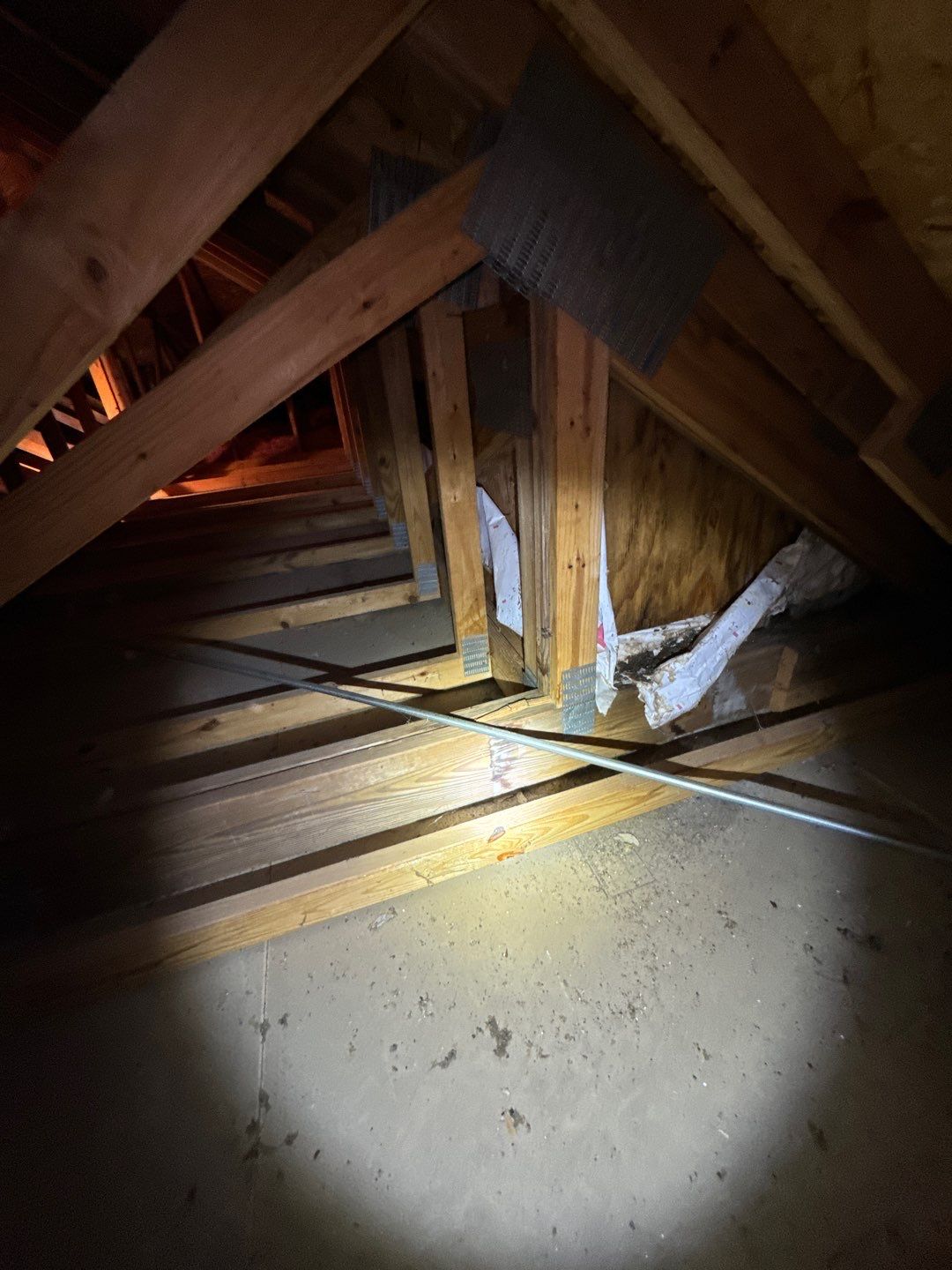 Garage Ceiling Water Damage/Mold Remediation by Chicagoland Water Medics