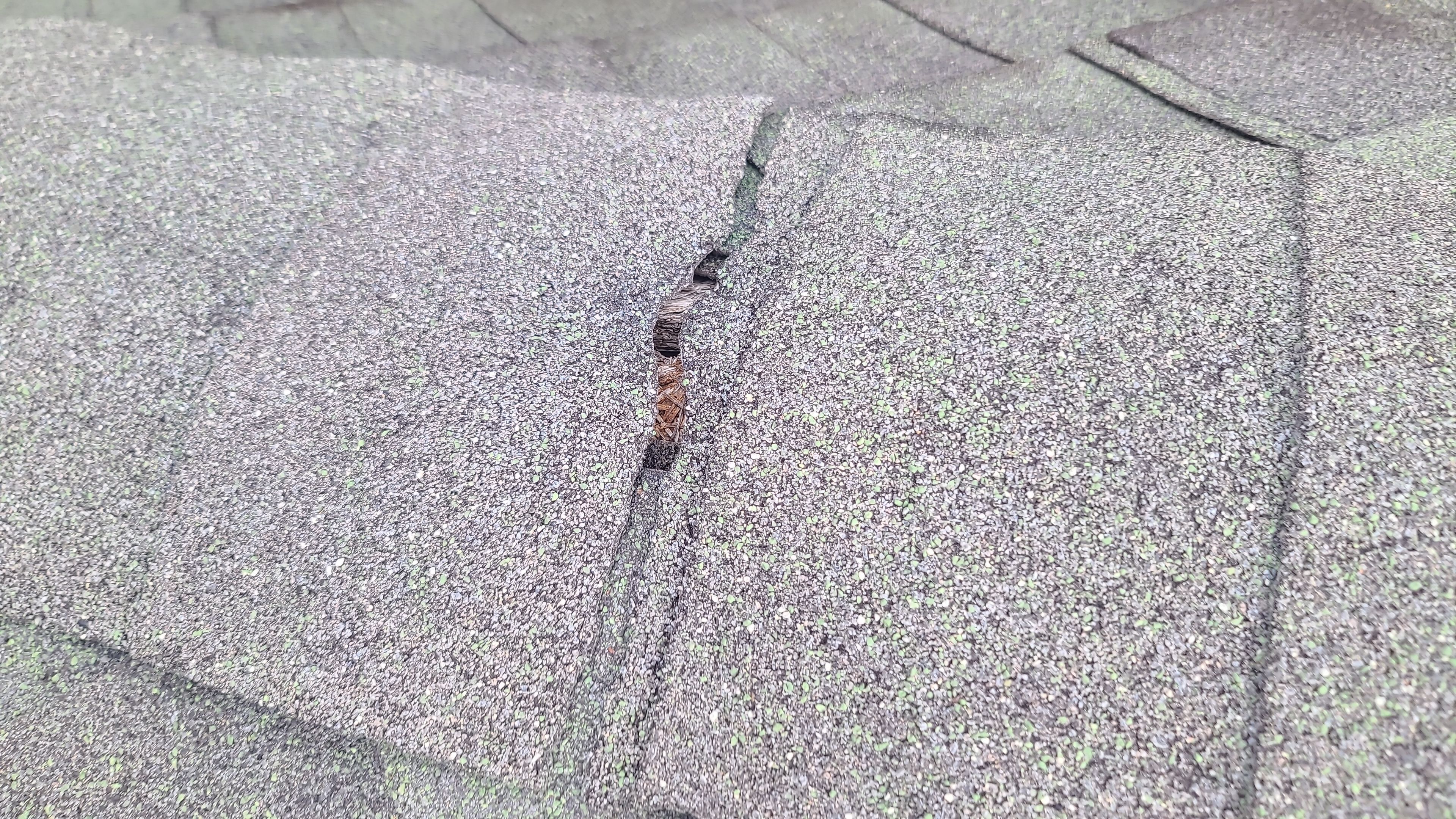 Residential Shingle Reroof using Malarkey Vista by Hostetler Roofing