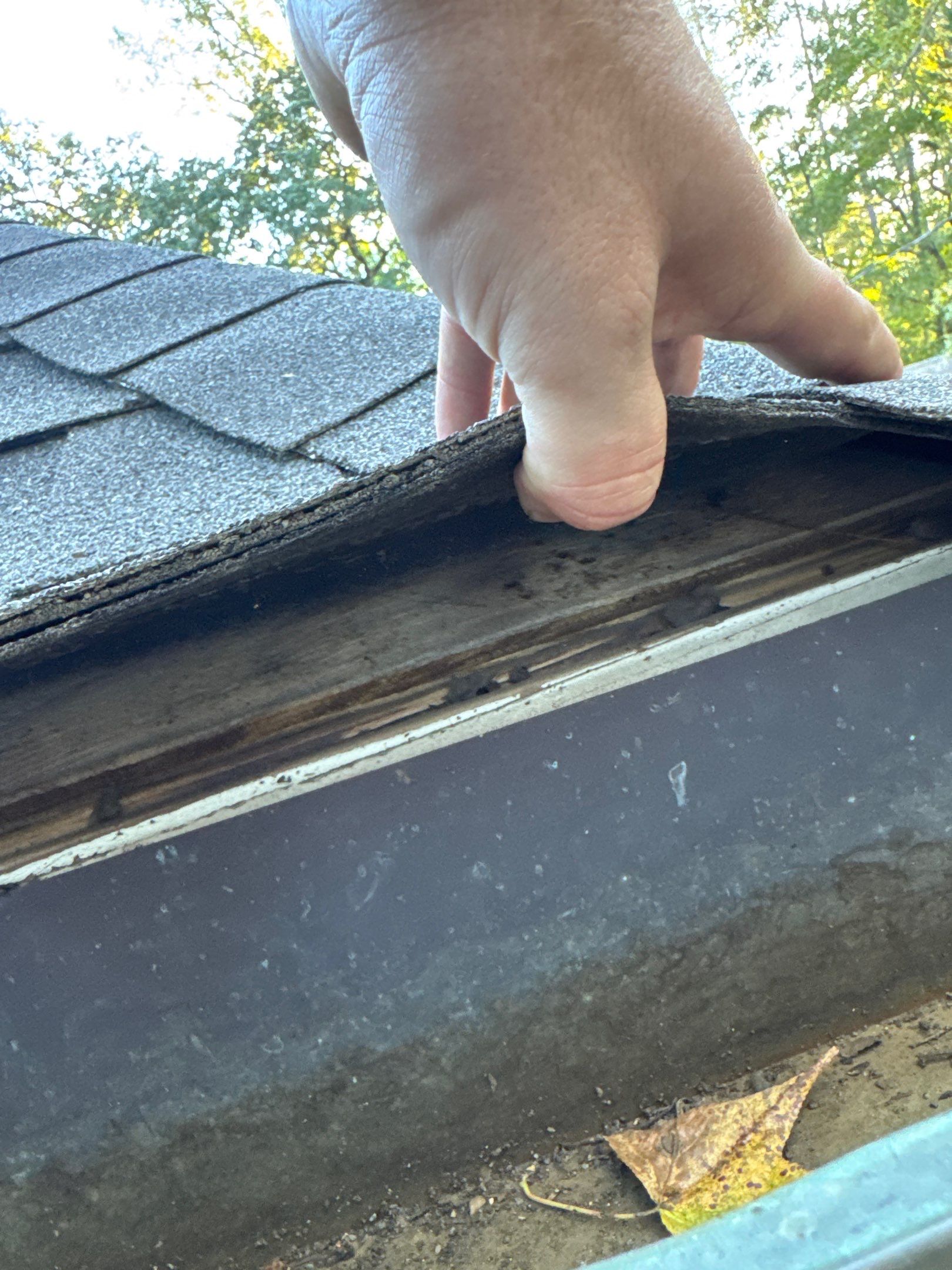Chyleen Feagin by Tru-Built Roofing